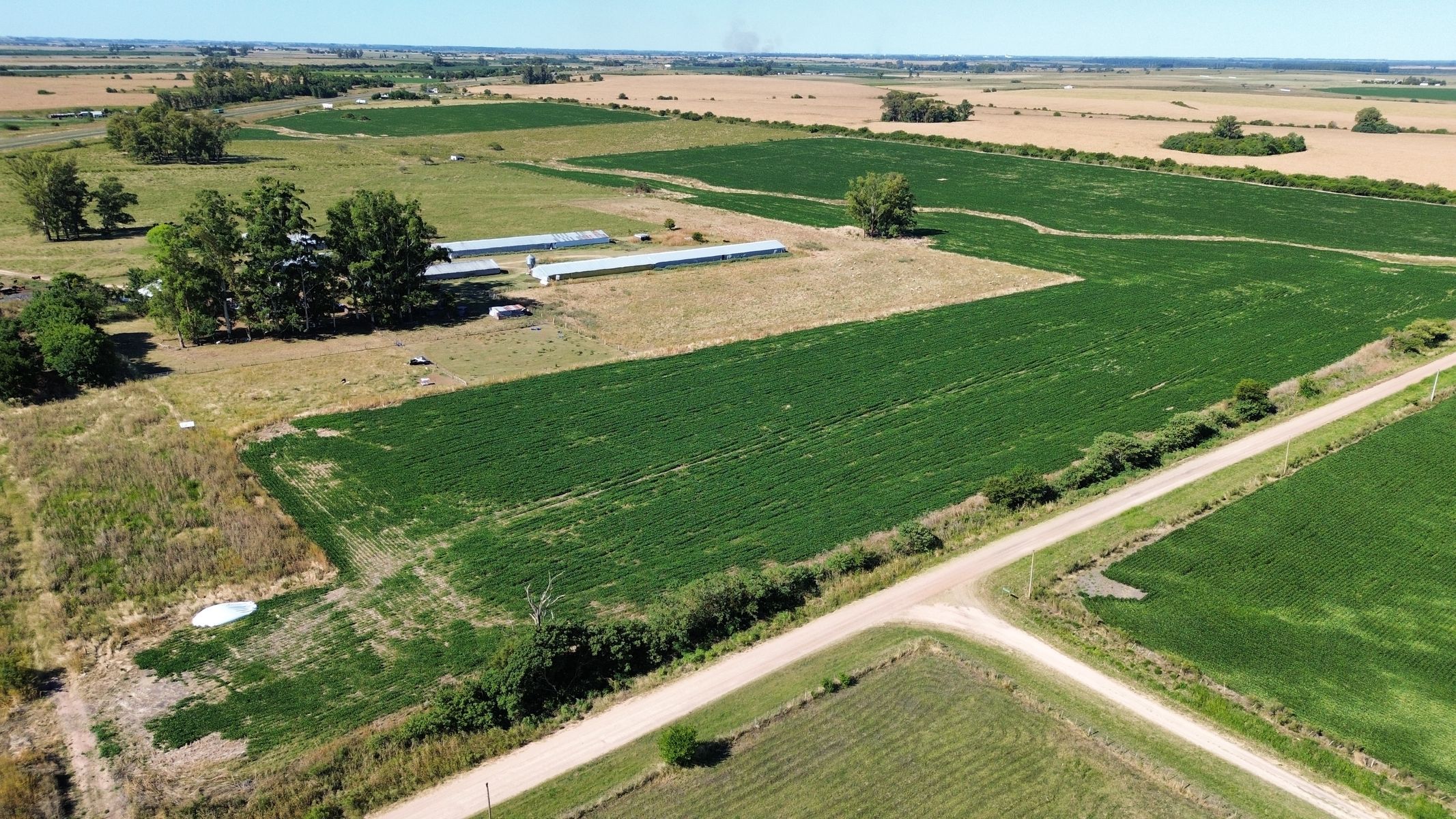 Vendo Campo 24 Has en Ruta 14 Concepción del Uruguay Entre Ríos - 3