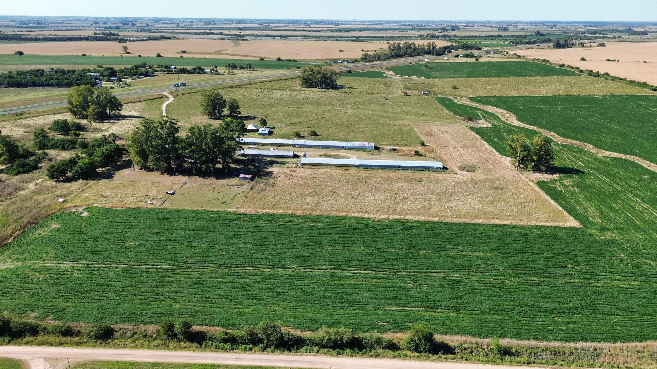 Vendo Campo 24 Has en Ruta 14 Concepción del Uruguay Entre Ríos - 4