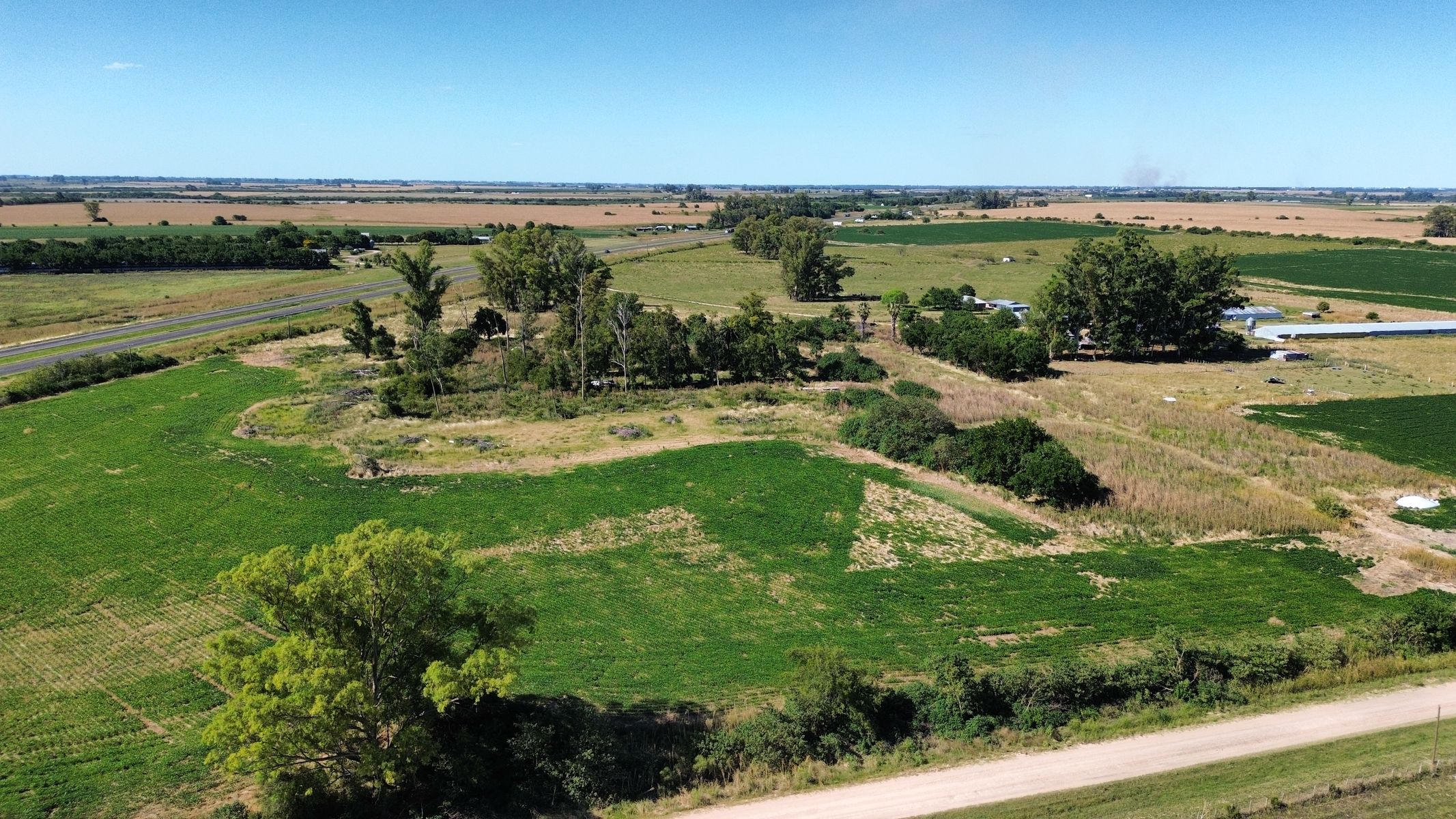 Vendo Campo 24 Has en Ruta 14 Concepción del Uruguay Entre Ríos - 5