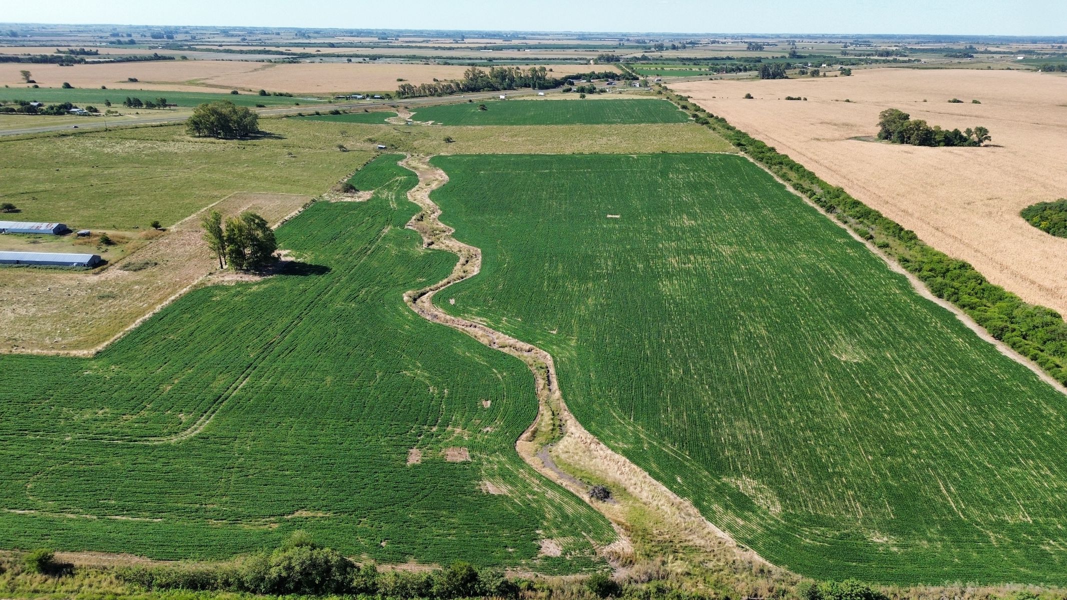 Vendo Campo 24 Has en Ruta 14 Concepción del Uruguay Entre Ríos - 6
