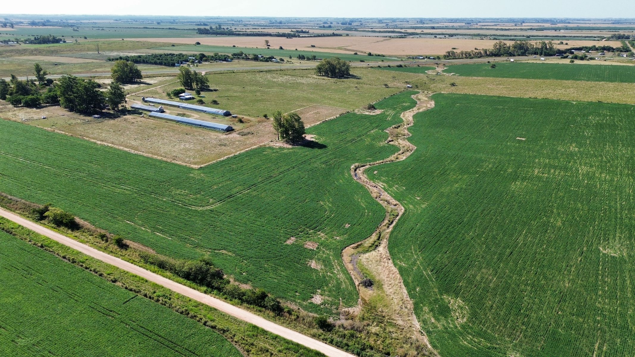 Vendo Campo 24 Has en Ruta 14 Concepción del Uruguay Entre Ríos - 7