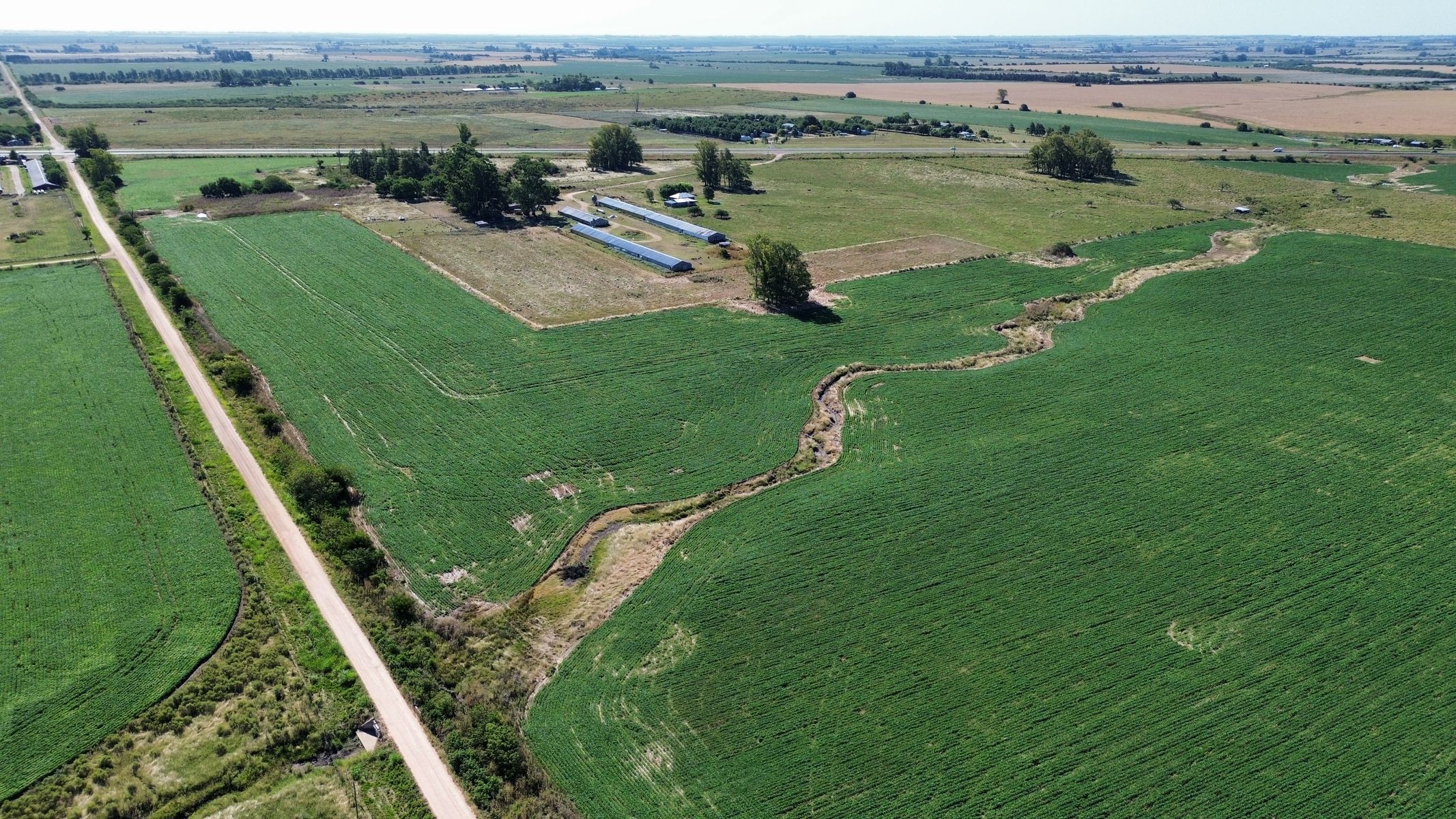 Vendo Campo 24 Has en Ruta 14 Concepción del Uruguay Entre Ríos - 8