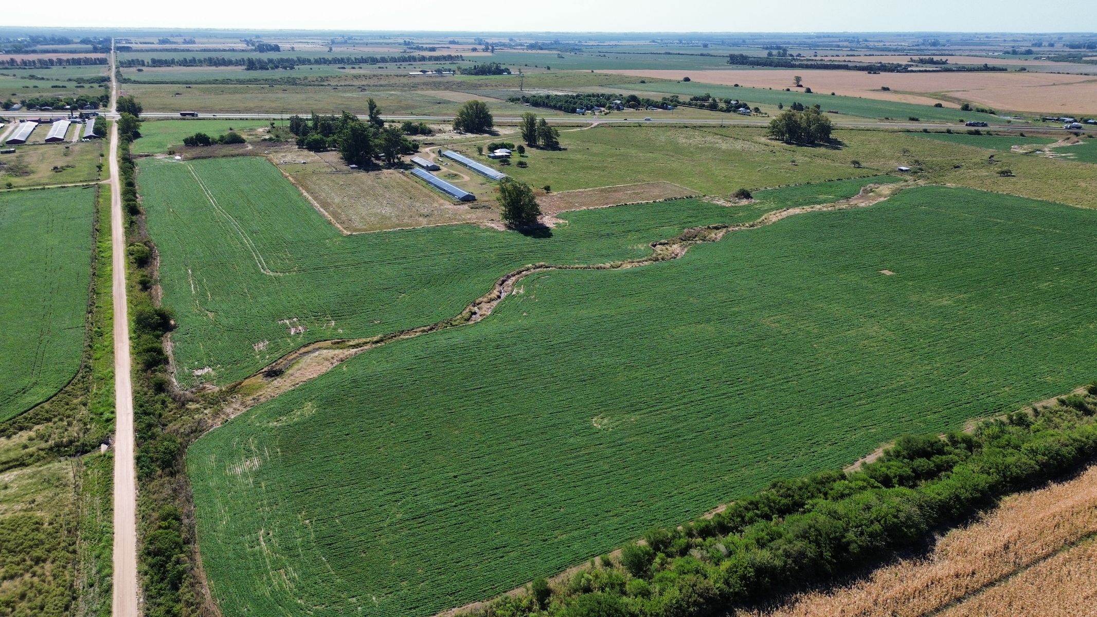 Vendo Campo 24 Has en Ruta 14 Concepción del Uruguay Entre Ríos - 9