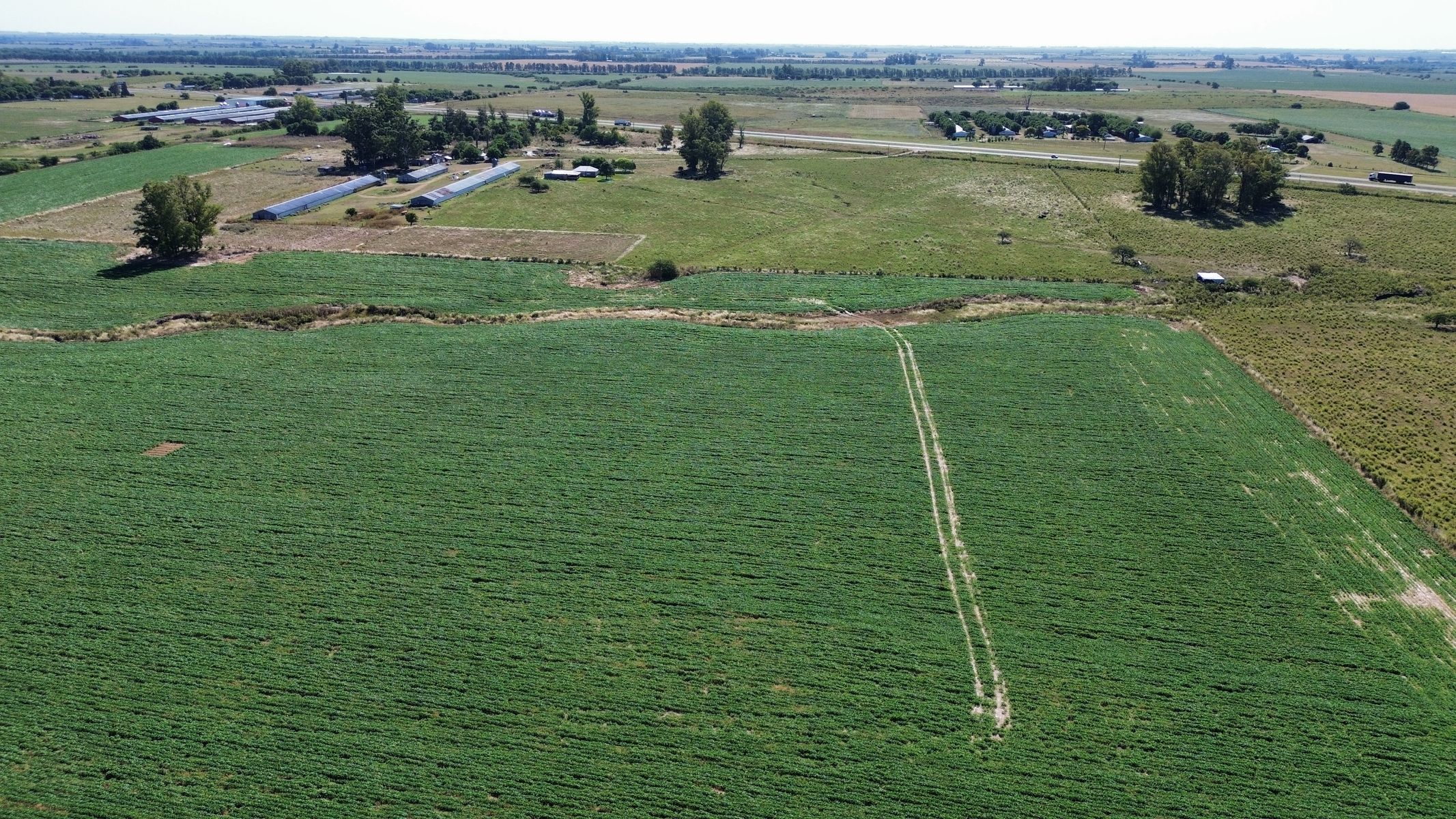 Vendo Campo 24 Has en Ruta 14 Concepción del Uruguay Entre Ríos - 10