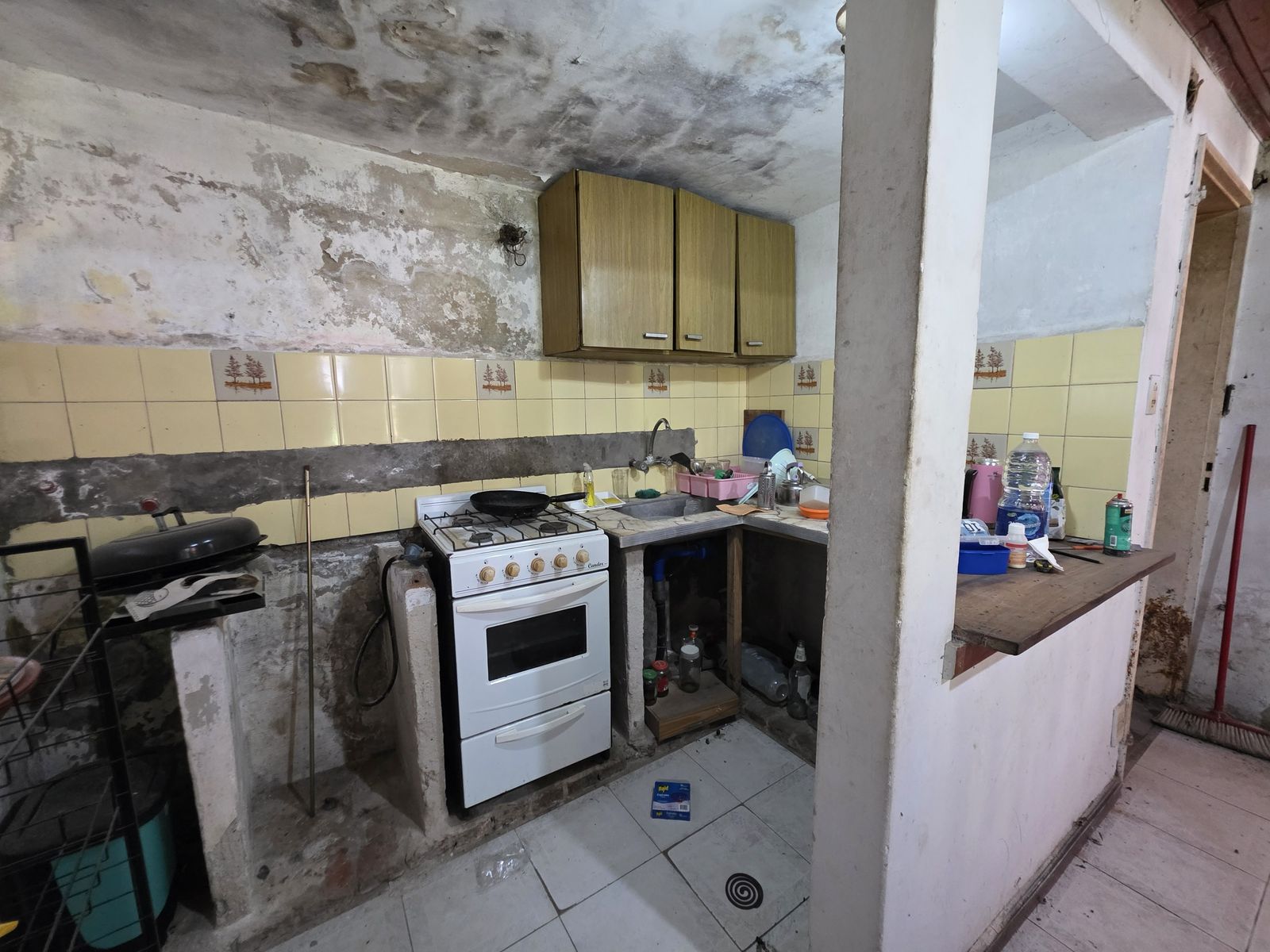 Vendo Casa y Dpto a Reciclar Concepción del Uruguay, Entre Ríos — foto 4