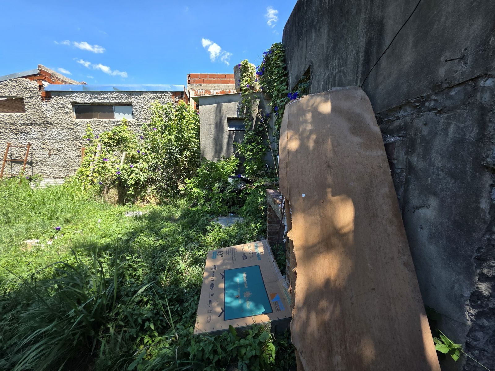 Vendo Casa y Dpto a Reciclar Concepción del Uruguay, Entre Ríos — foto 7