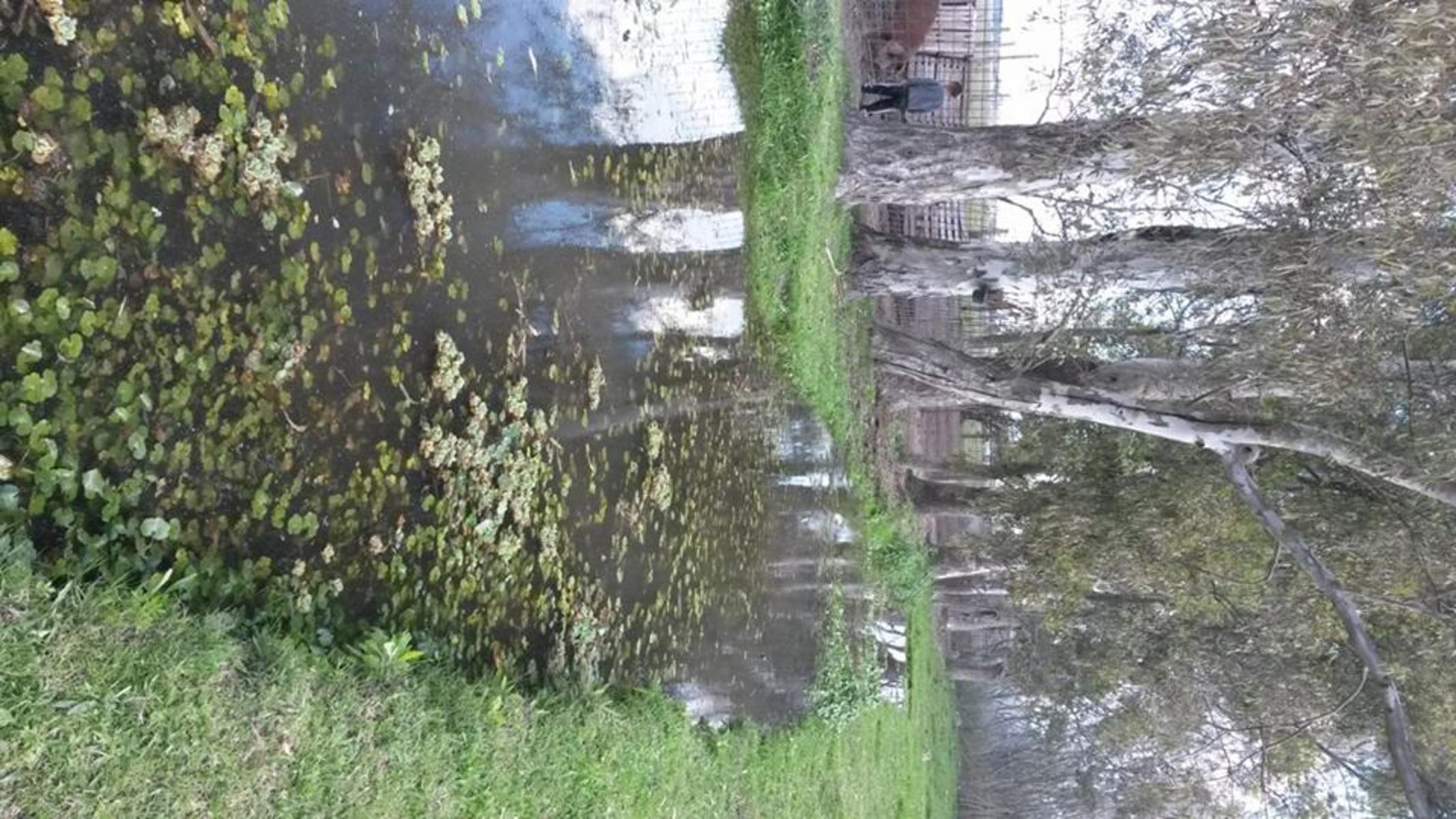 VENTA CASA -QUINTA -LA CAPILLA F.V - 5