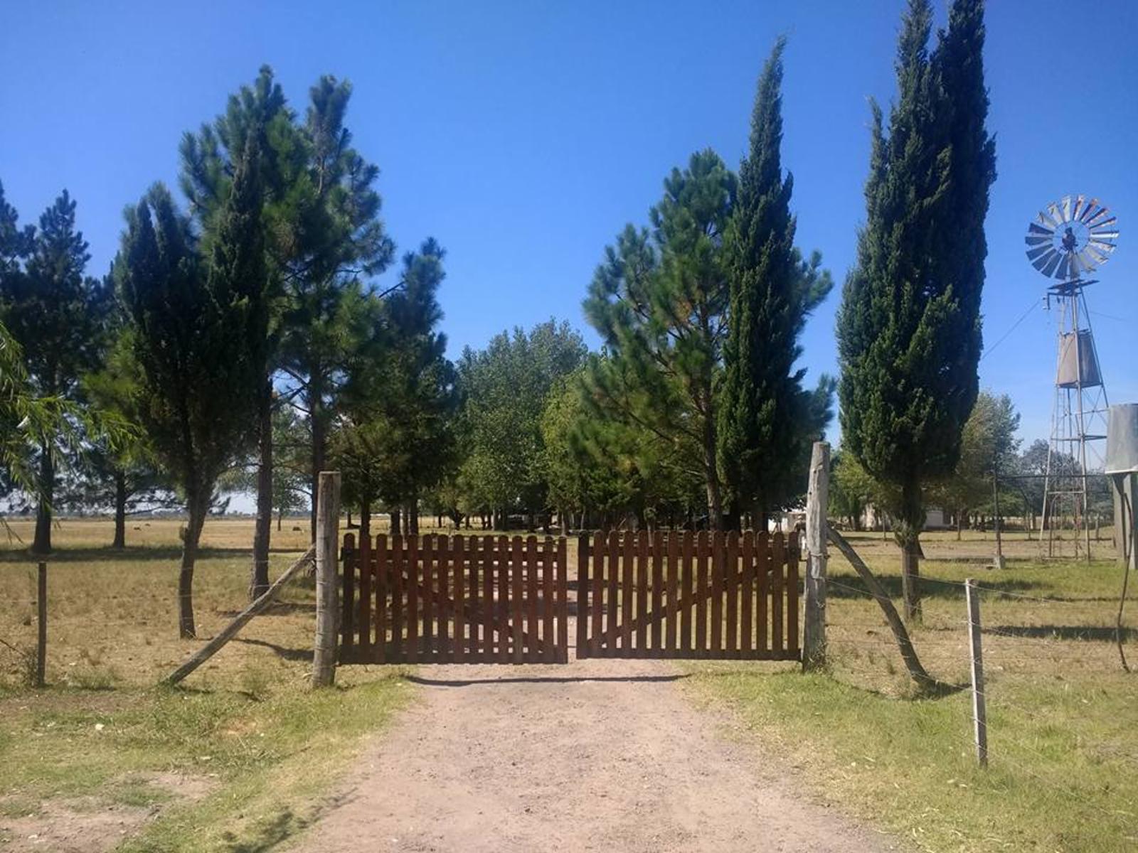VENTA - 10 HTS SOBRE RUTA 6 , ABASTO, LA PLATA.
