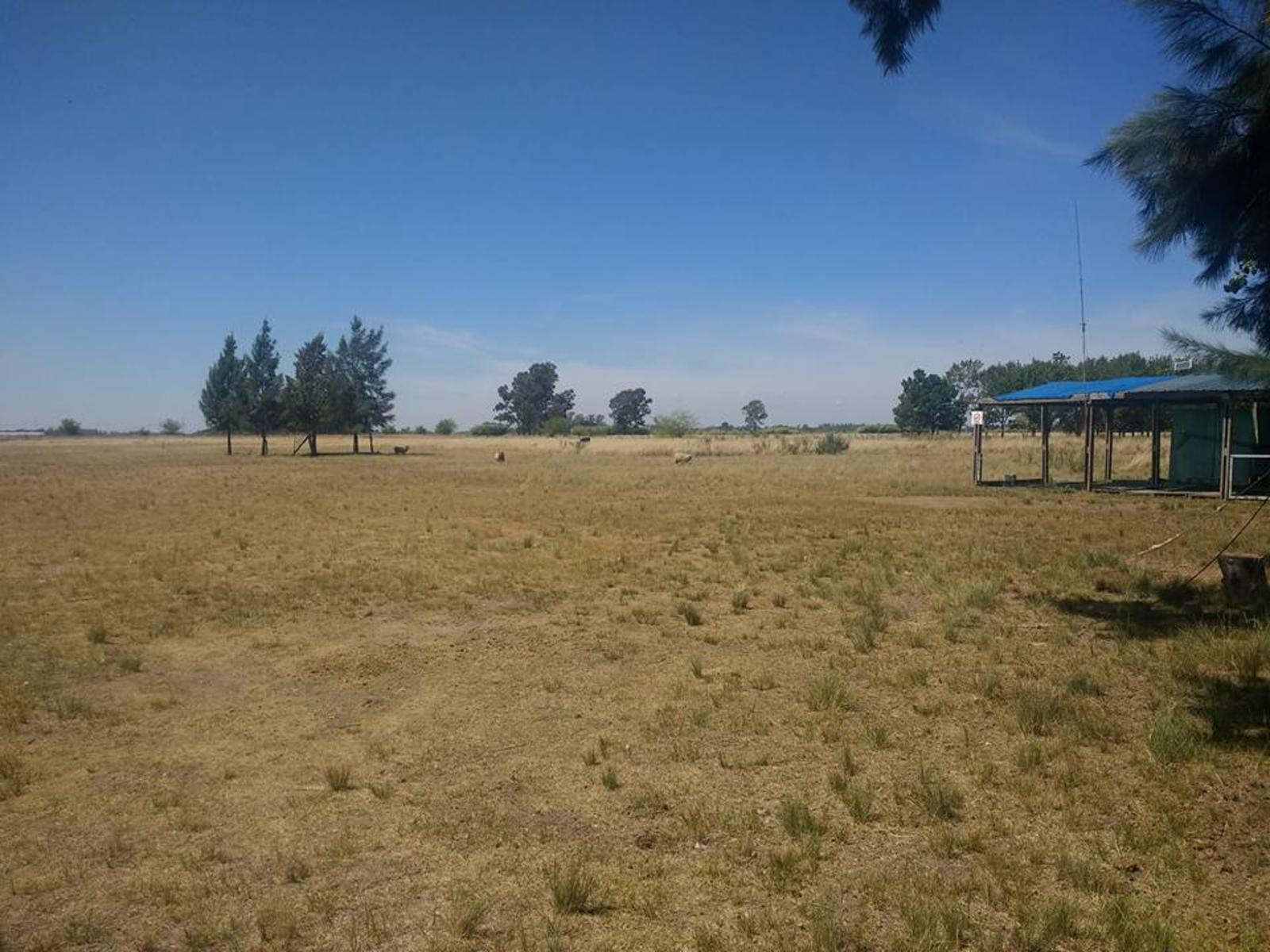 VENTA - 10 HTS SOBRE RUTA 6 , ABASTO, LA PLATA. — foto 2