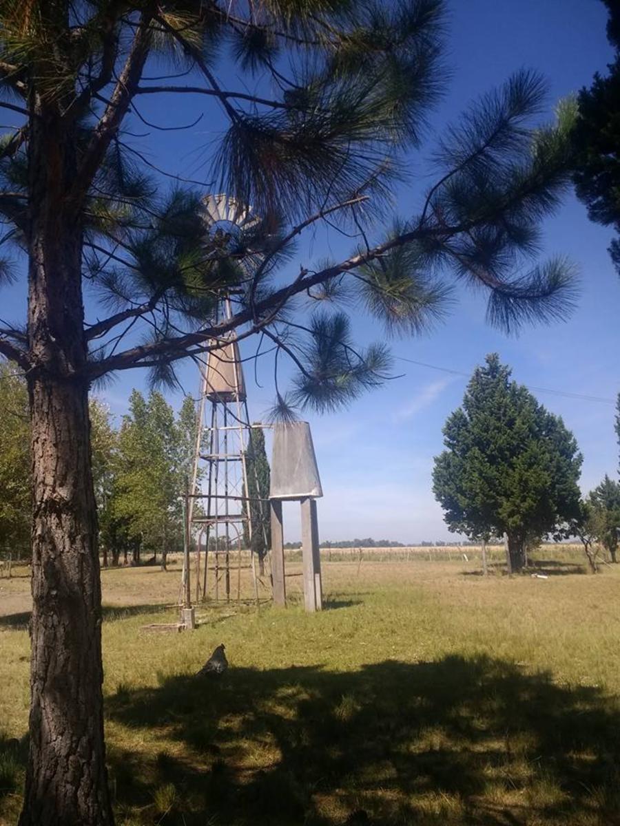 VENTA - 10 HTS SOBRE RUTA 6 , ABASTO, LA PLATA. — foto 3