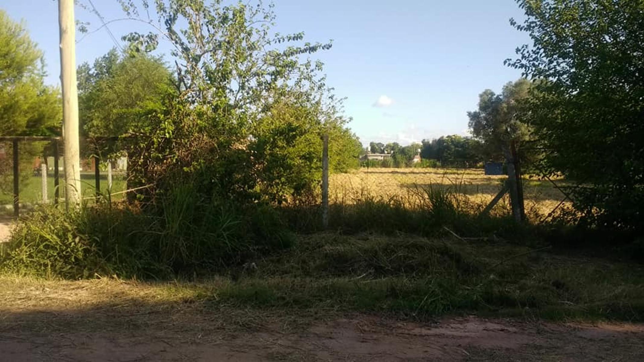 ALQUILER EXCELENTE LOTE Fcio. Varela - 4