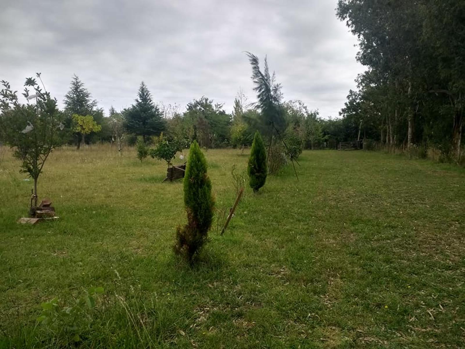 VENTA DE CASA EN UNA HECTAREA CEERCA DE RUTA53 — foto 2