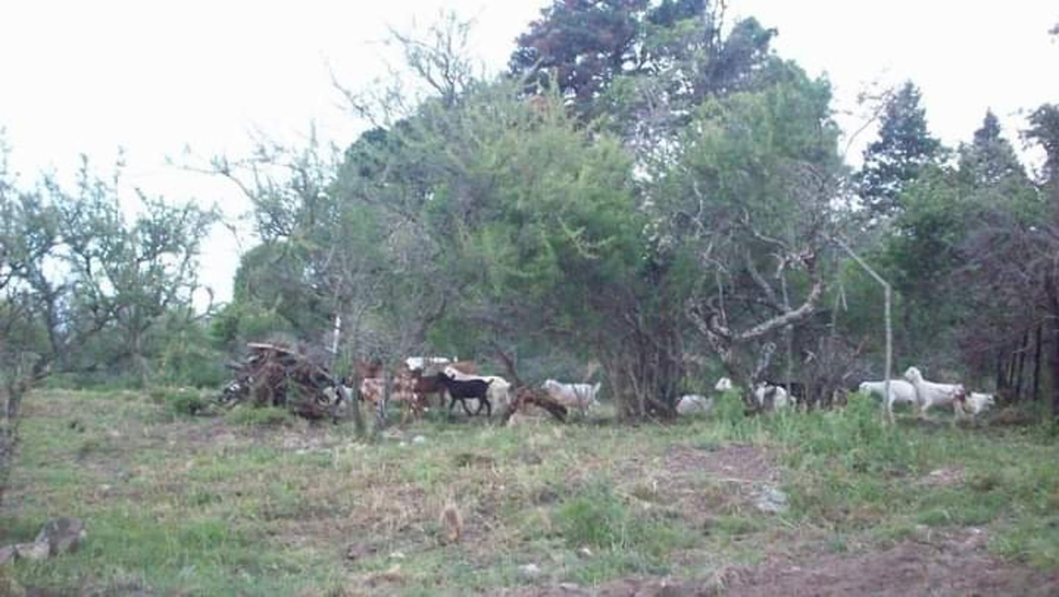 LOTE EN VENTA CORDOBA, PUNILLA — foto 2