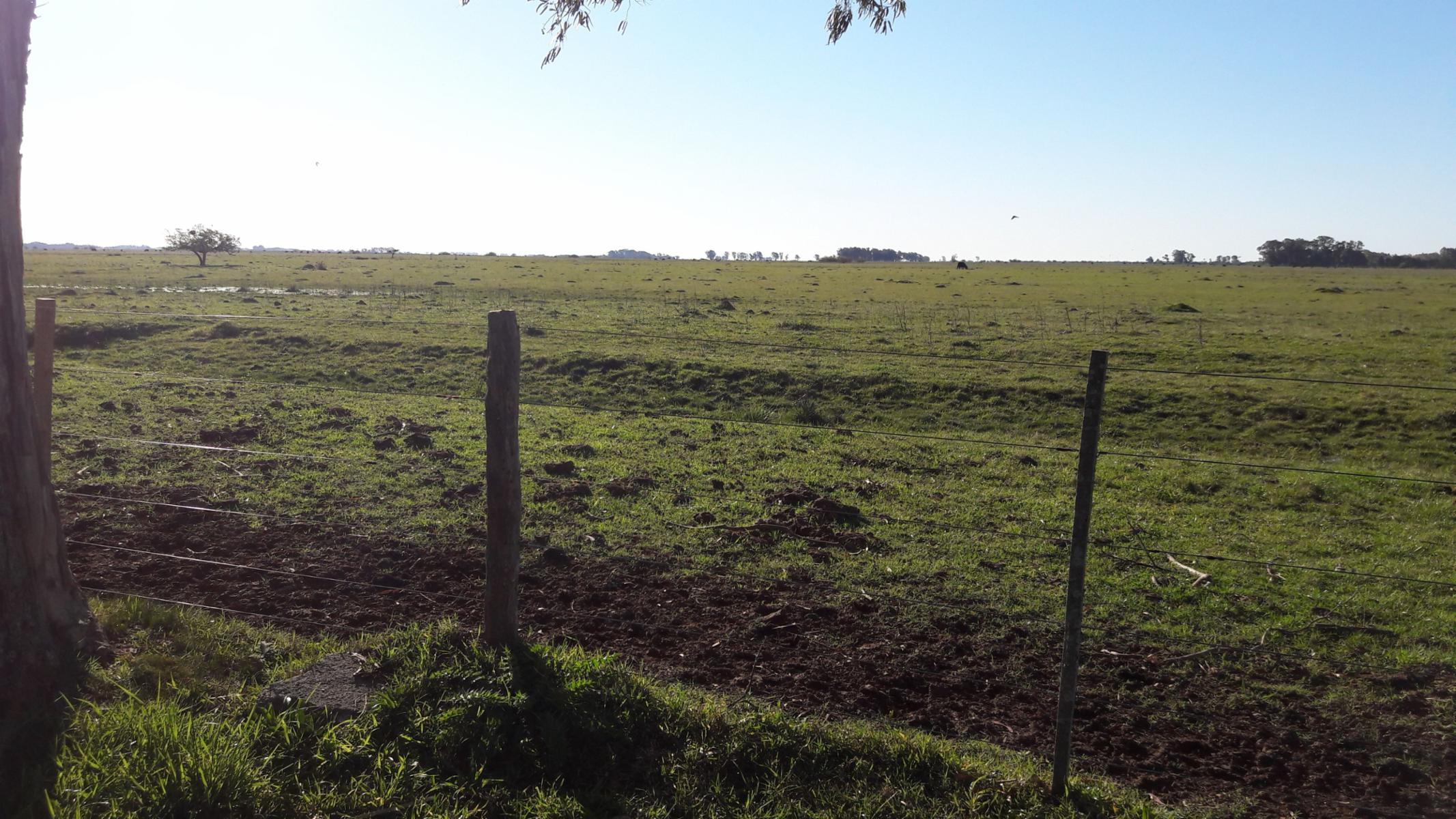 CAMPO en VENTA 570 hectáreas en PUNTA INDIO - 1
