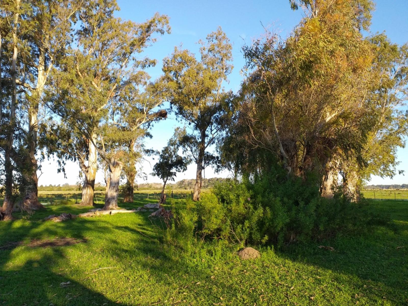 CAMPO en VENTA 570 hectáreas en PUNTA INDIO - 2
