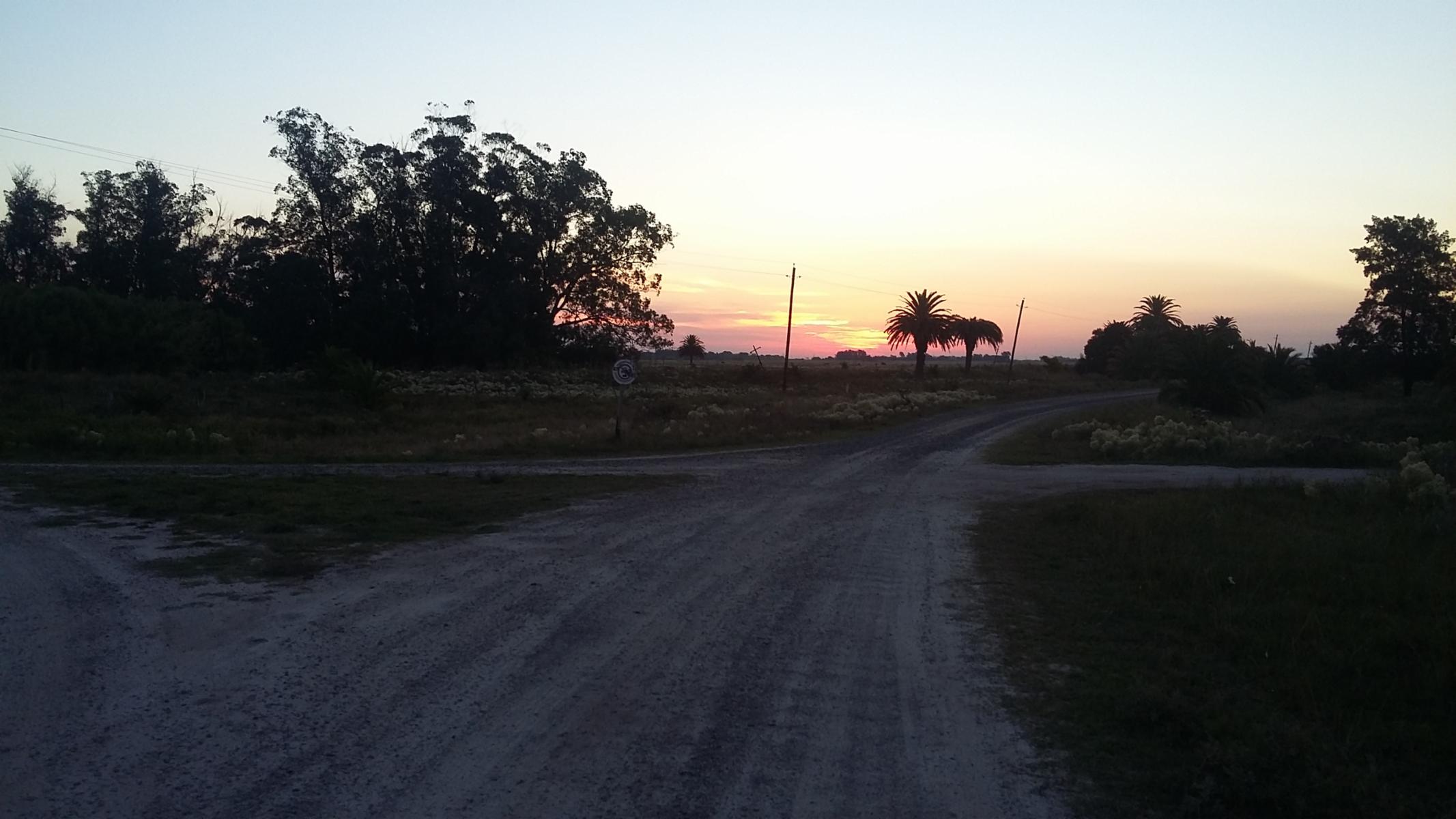 CAMPO 12,5 HECTÁREAS EN LAS TAHONAS - 3