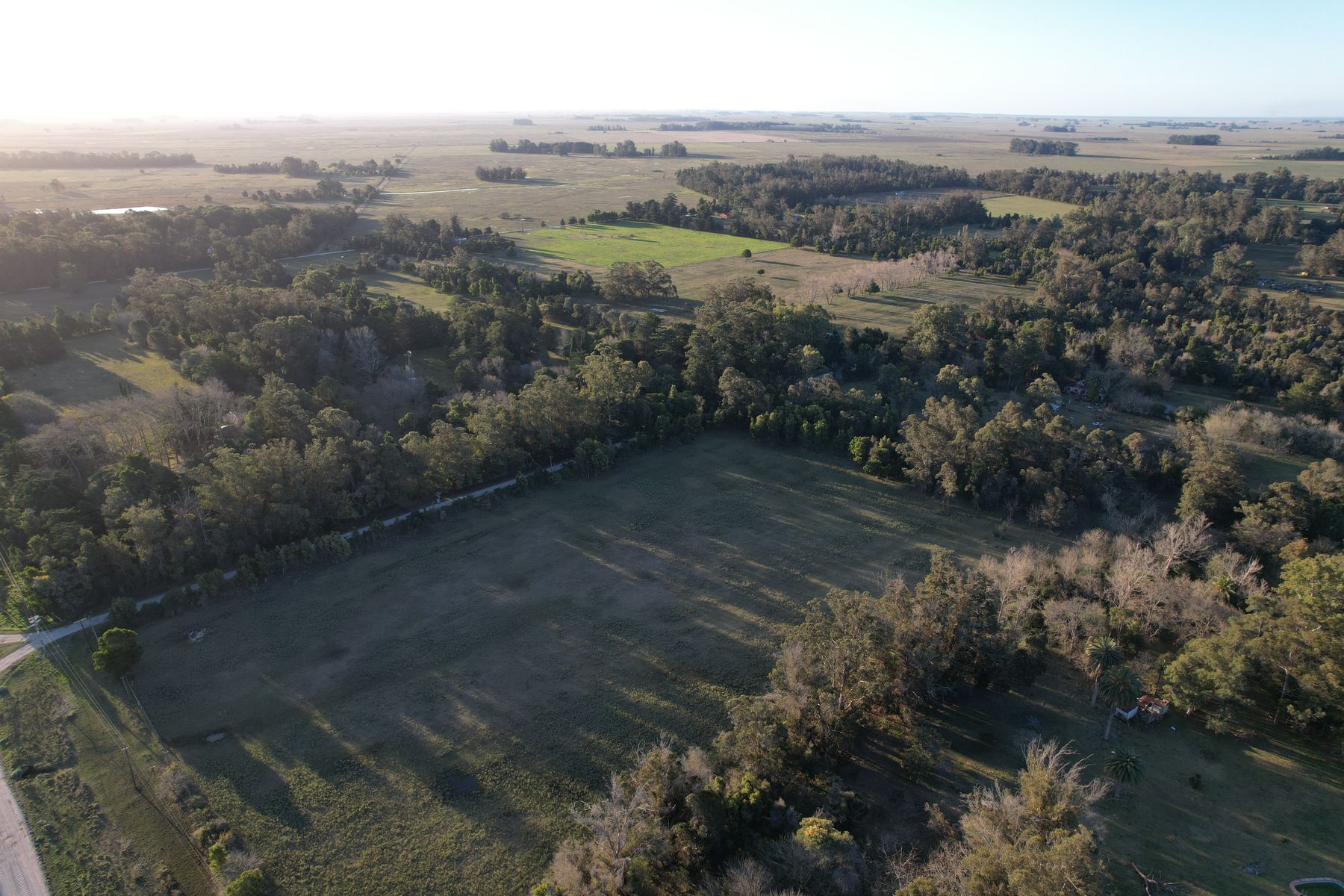 CAMPO 12,5 HECTÁREAS EN LAS TAHONAS - 4
