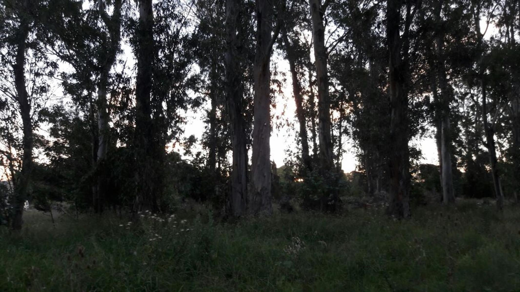 LOTE DE TERRENO en Venta En Verónica - 1