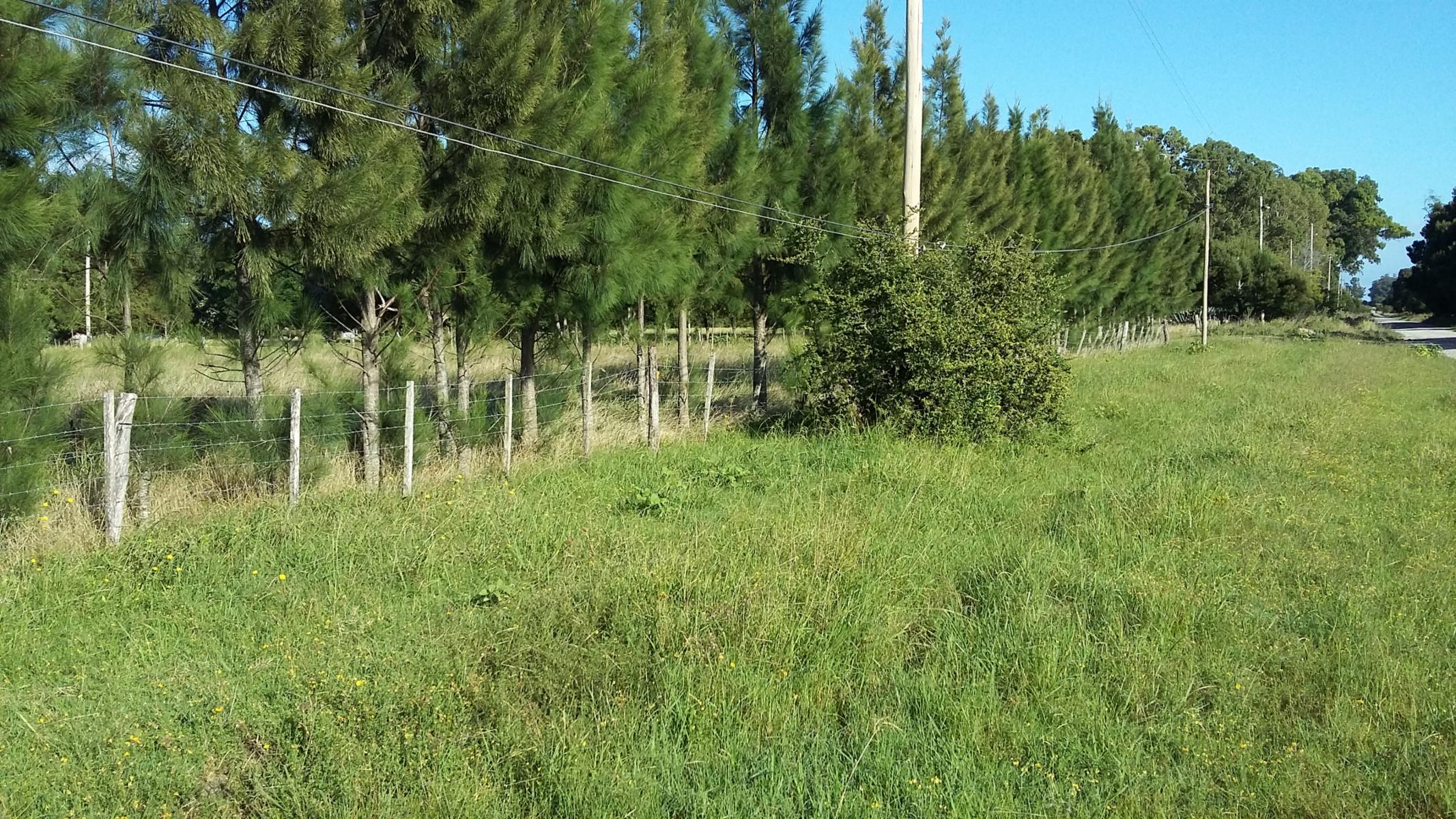 CHACRA en Venta en Punta Indio 2,8 hectáreas - 2