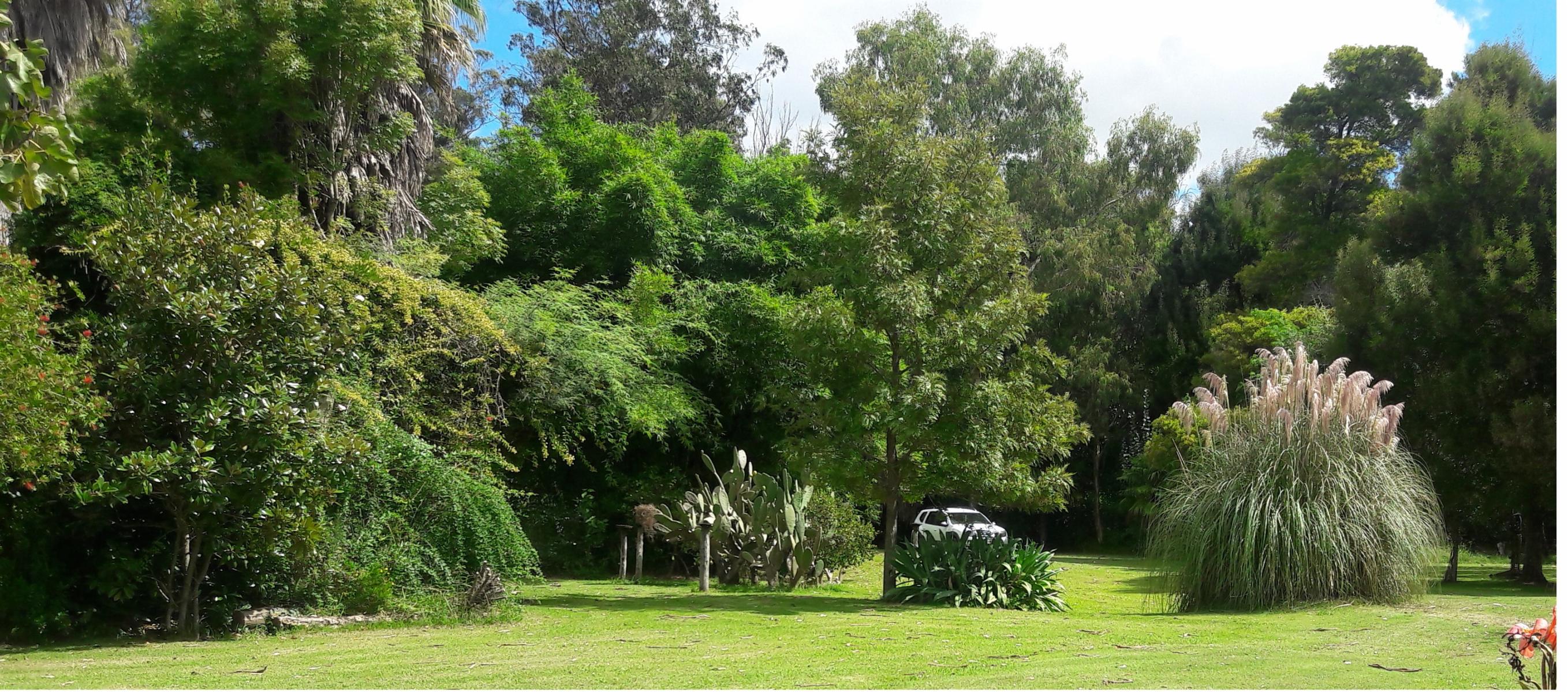 CAMPO en VENTA en Punta Indio 10 hectáreas muchas mejoras U$S 259.000 - 2