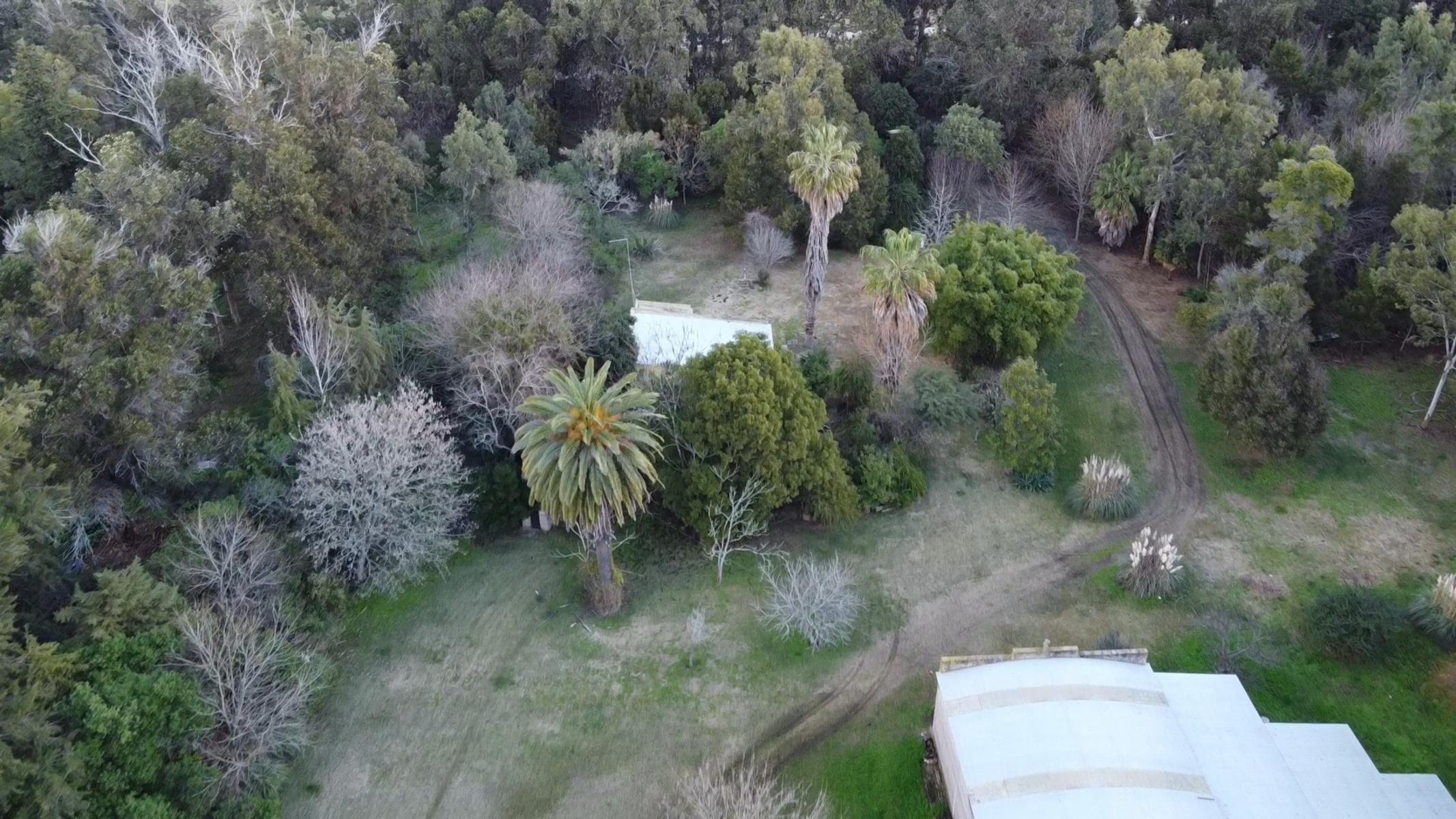 CAMPO en VENTA en Punta Indio 10 hectáreas muchas mejoras U$S 259.000 - 10