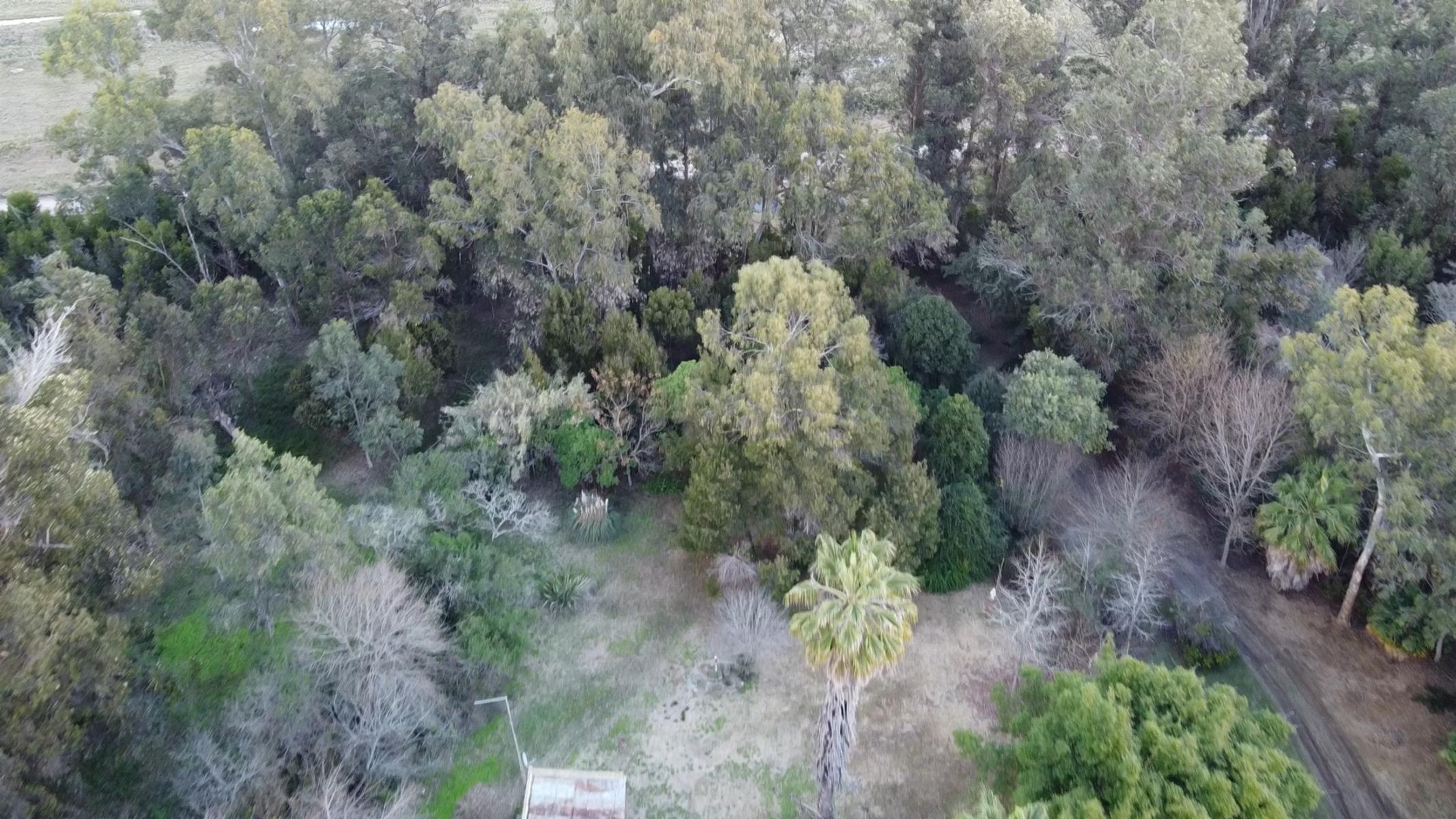 CAMPO en VENTA en Punta Indio 10 hectáreas muchas mejoras U$S 259.000 - 11