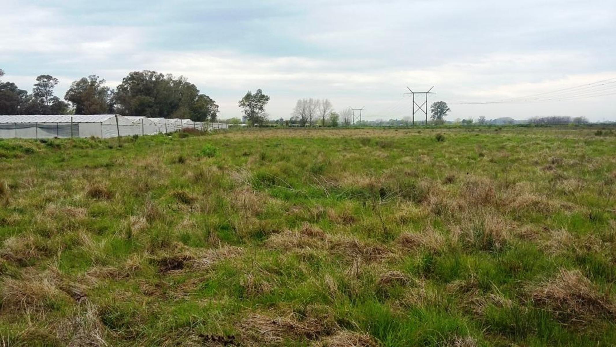 Chacra Producción Hortícola en La Plata - Arturo Seguí — foto 3