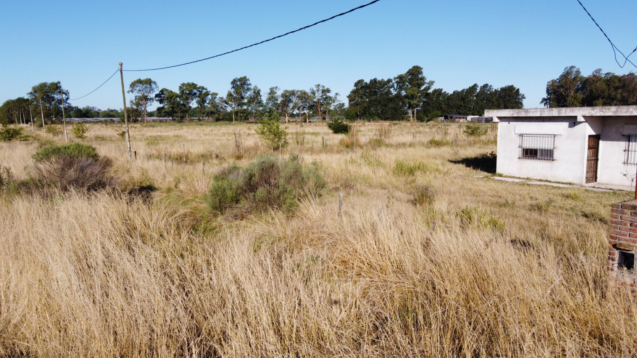 Chacra Producción Hortícola en La Plata - Arturo Seguí — foto 4