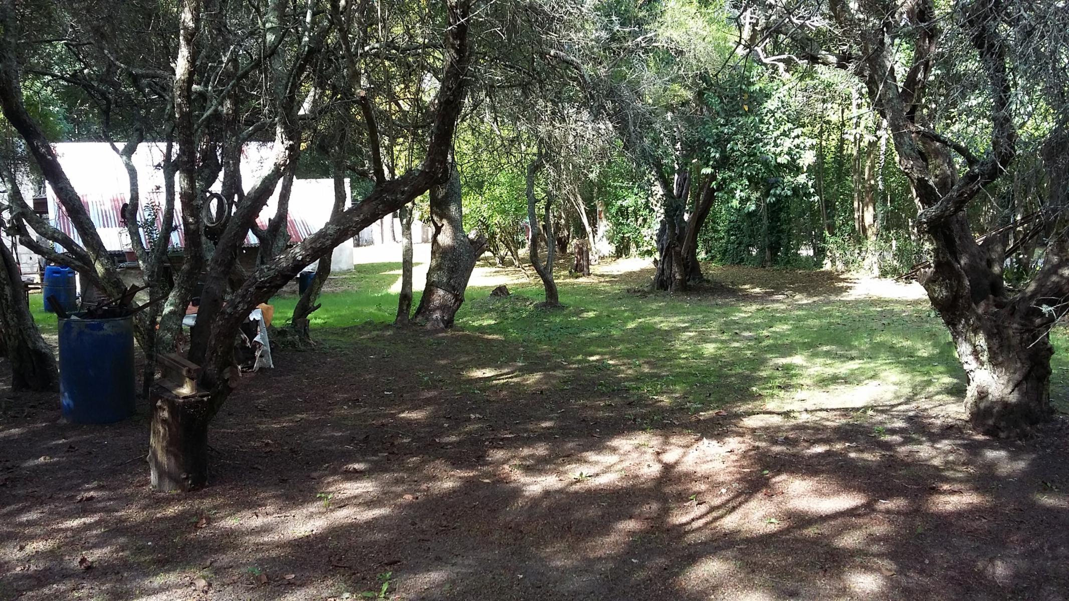 CASA QUINTA en Punta Indio- 1900 m2. Cerca del Río de la Plata. - 2