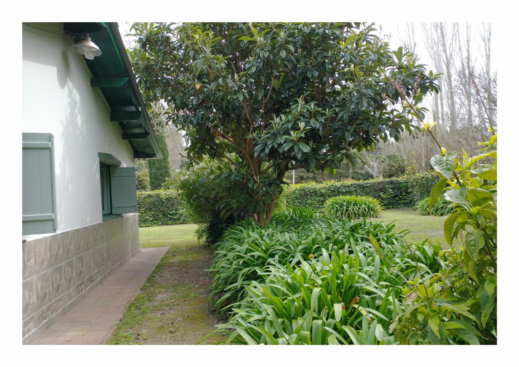 CASA QUINTA en Venta en Punta Indio - 5