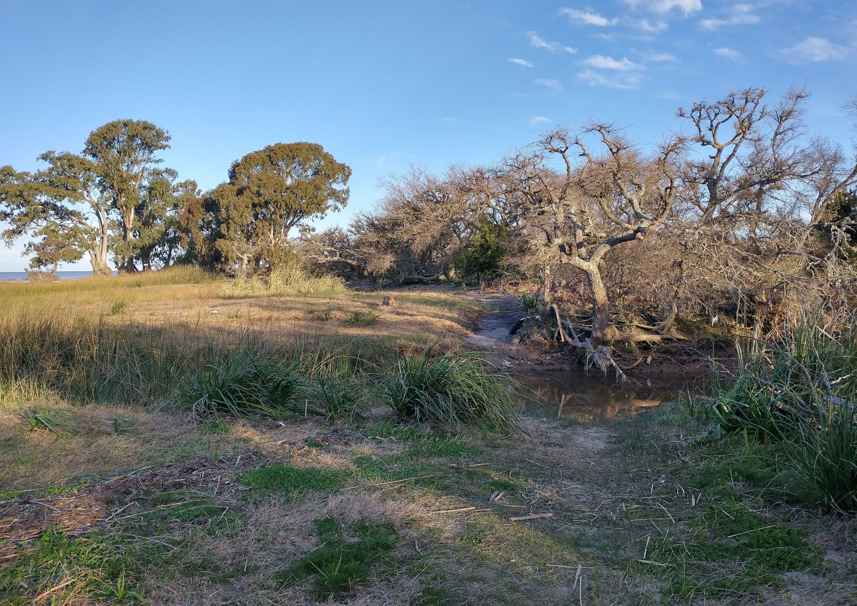 TERRENOS en Venta en Punta de Indio - Con Playa - 10