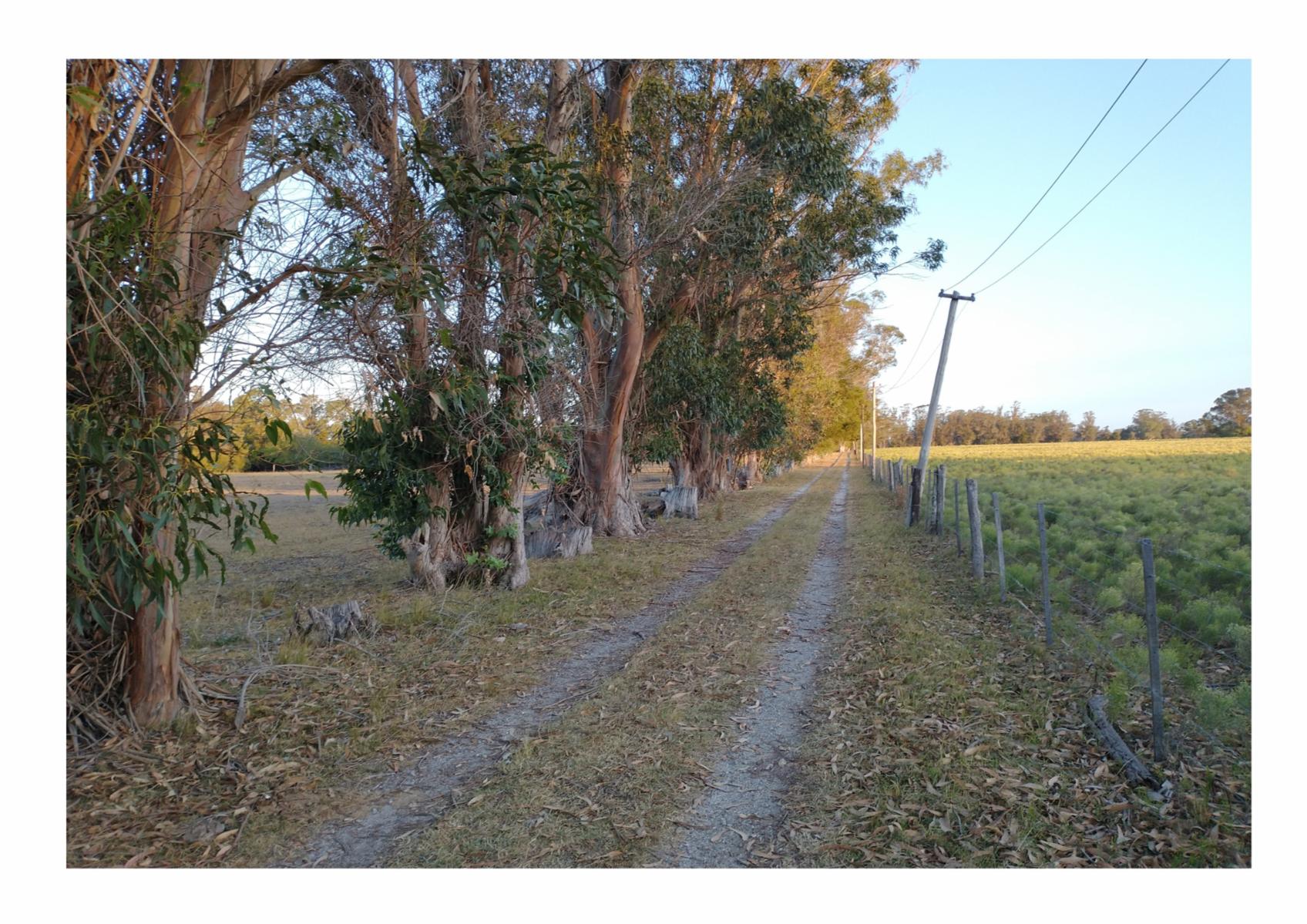 CAMPO en Venta en Punta Indio - 8 hectáreas - 3
