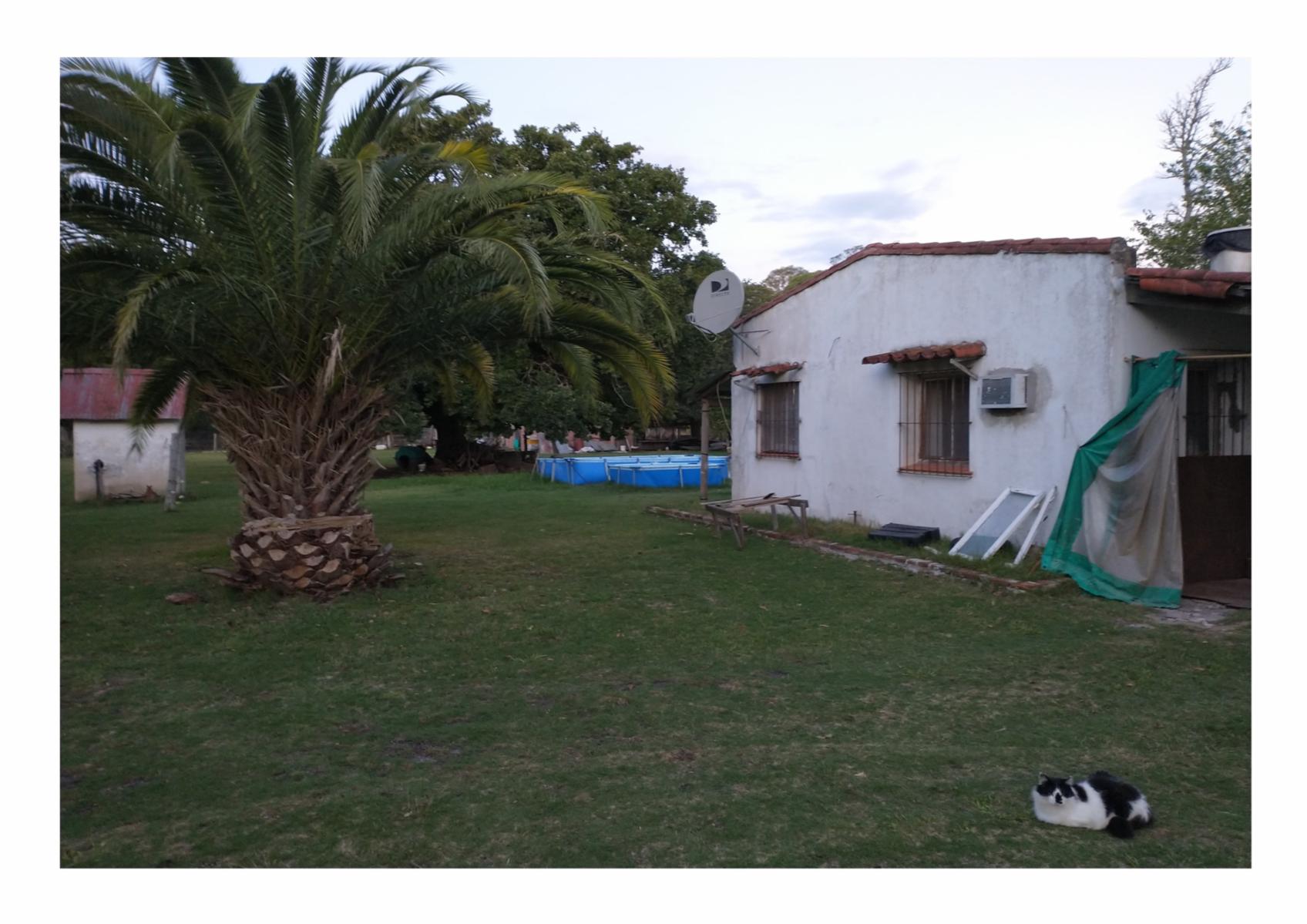 CAMPO en Venta en Punta Indio - 8 hectáreas - 5