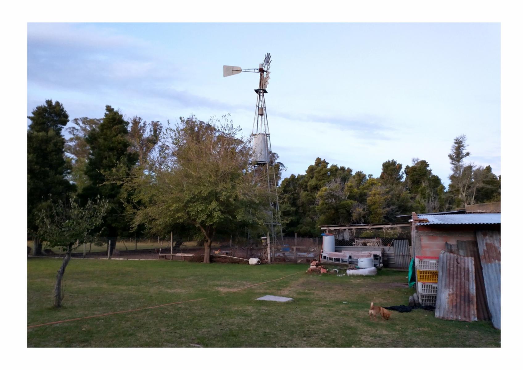 CAMPO en Venta en Punta Indio - 8 hectáreas - 6