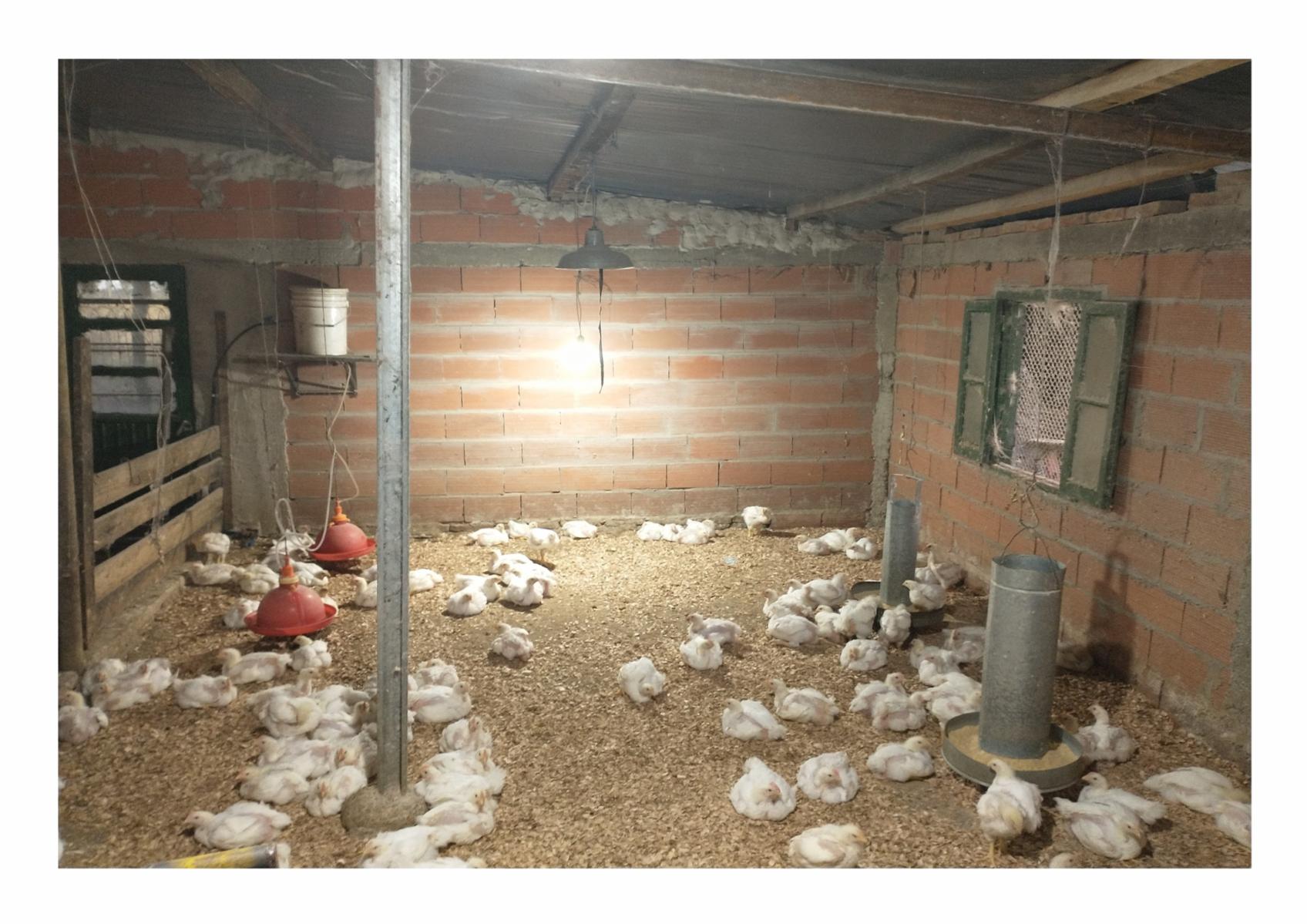 CAMPO en Venta en Punta Indio - 8 hectáreas - 10