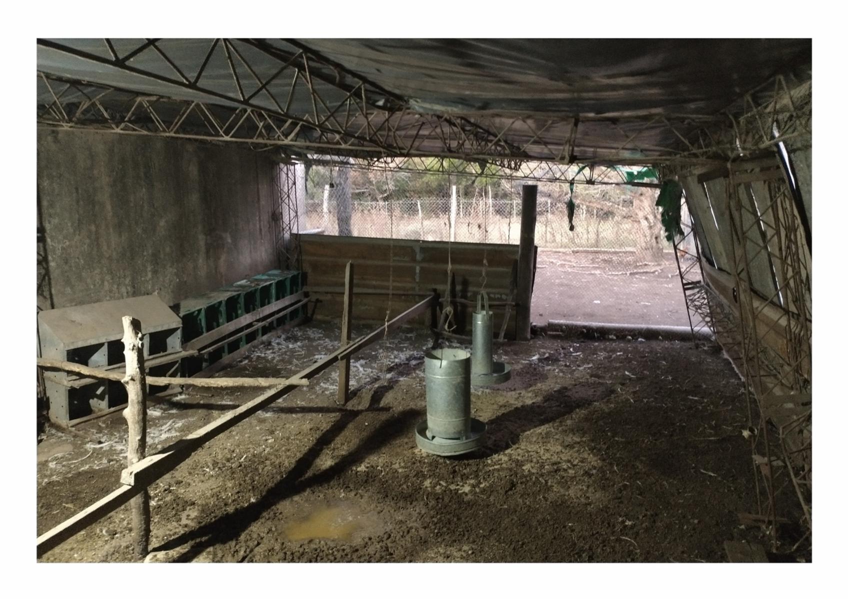 CAMPO en Venta en Punta Indio - 8 hectáreas - 11