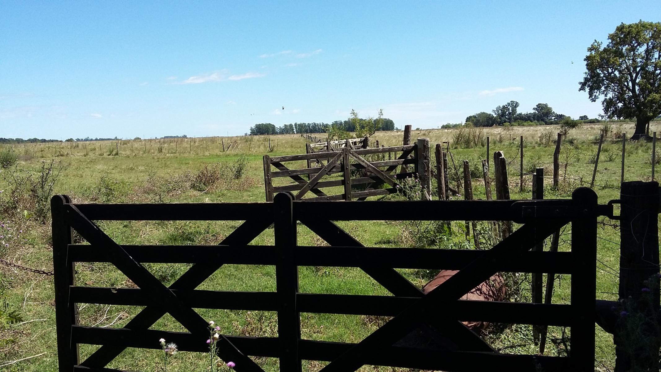 CAMPO en Venta 32 hectáreas en Punta Indio - 1