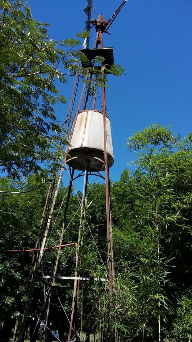 CAMPO en Venta 32 hectáreas en Punta Indio - 5