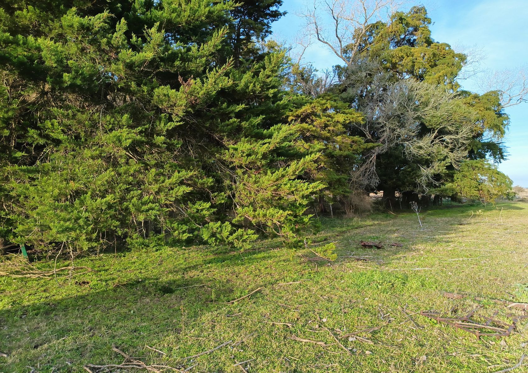 CAMPO en Venta 32 hectáreas en Punta Indio - 6