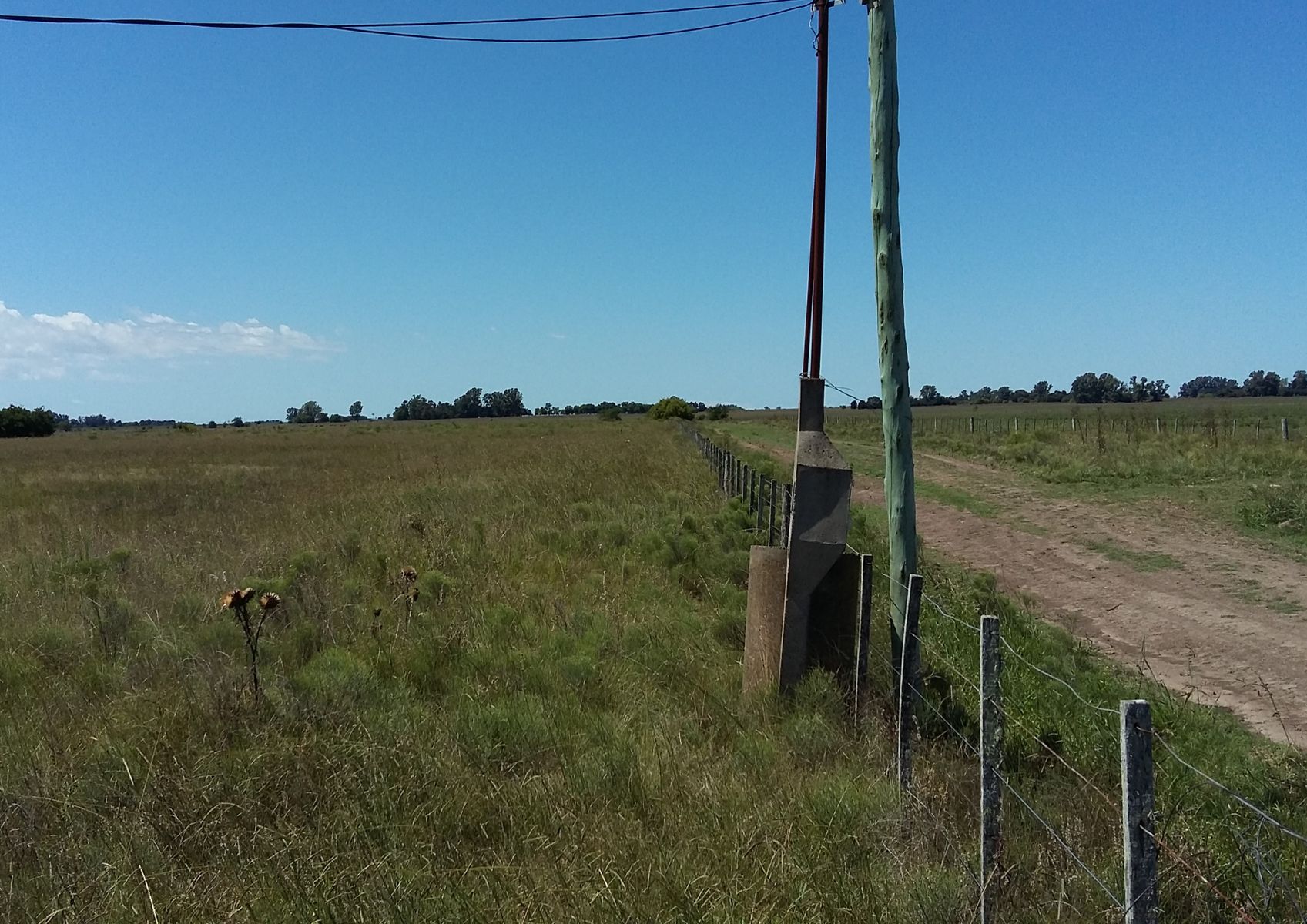 CAMPO en Venta 32 hectáreas en Punta Indio - 8