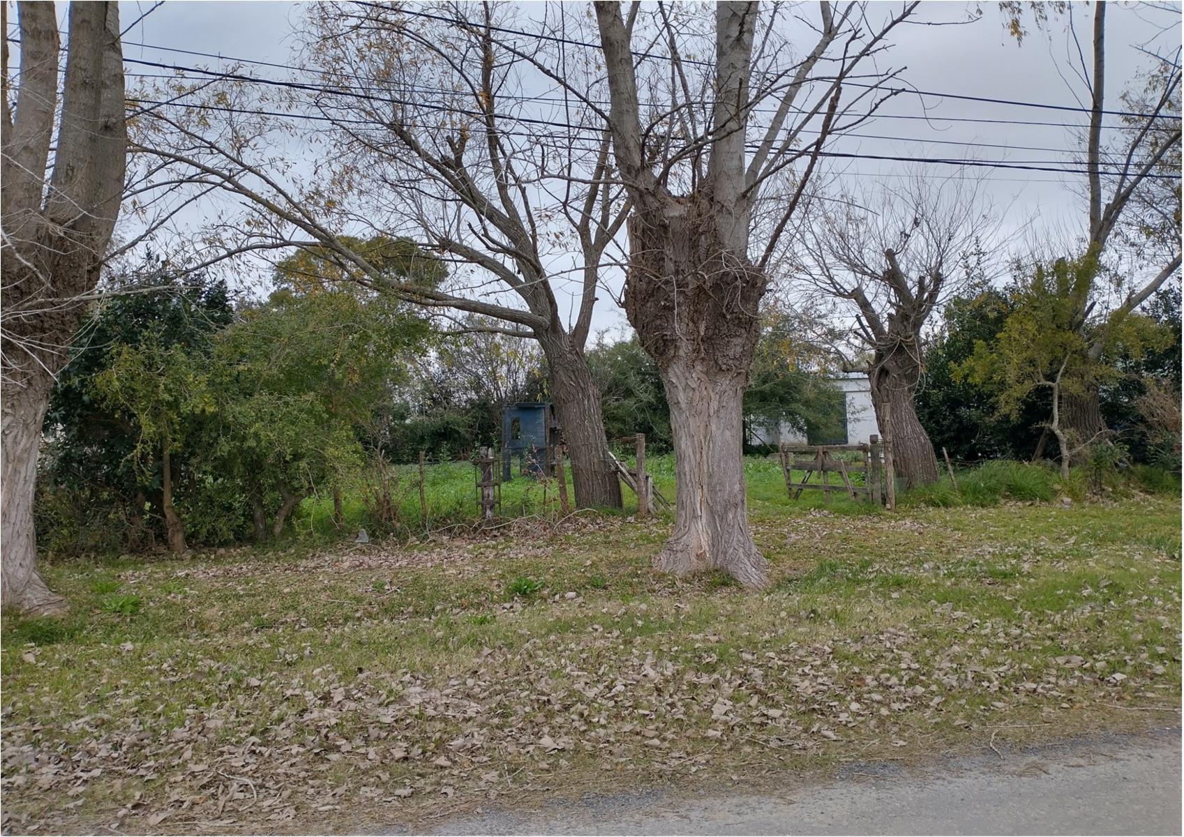 TERRENO en Venta en Pipinas-Punta Indio - 3