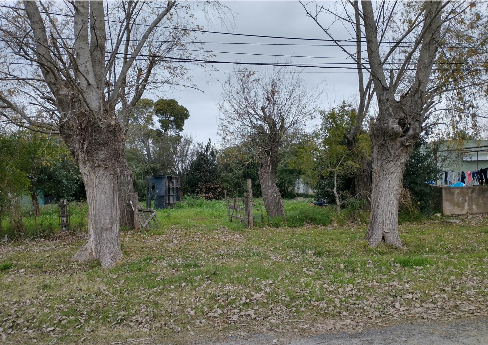 TERRENO en Venta en Pipinas-Punta Indio - 4