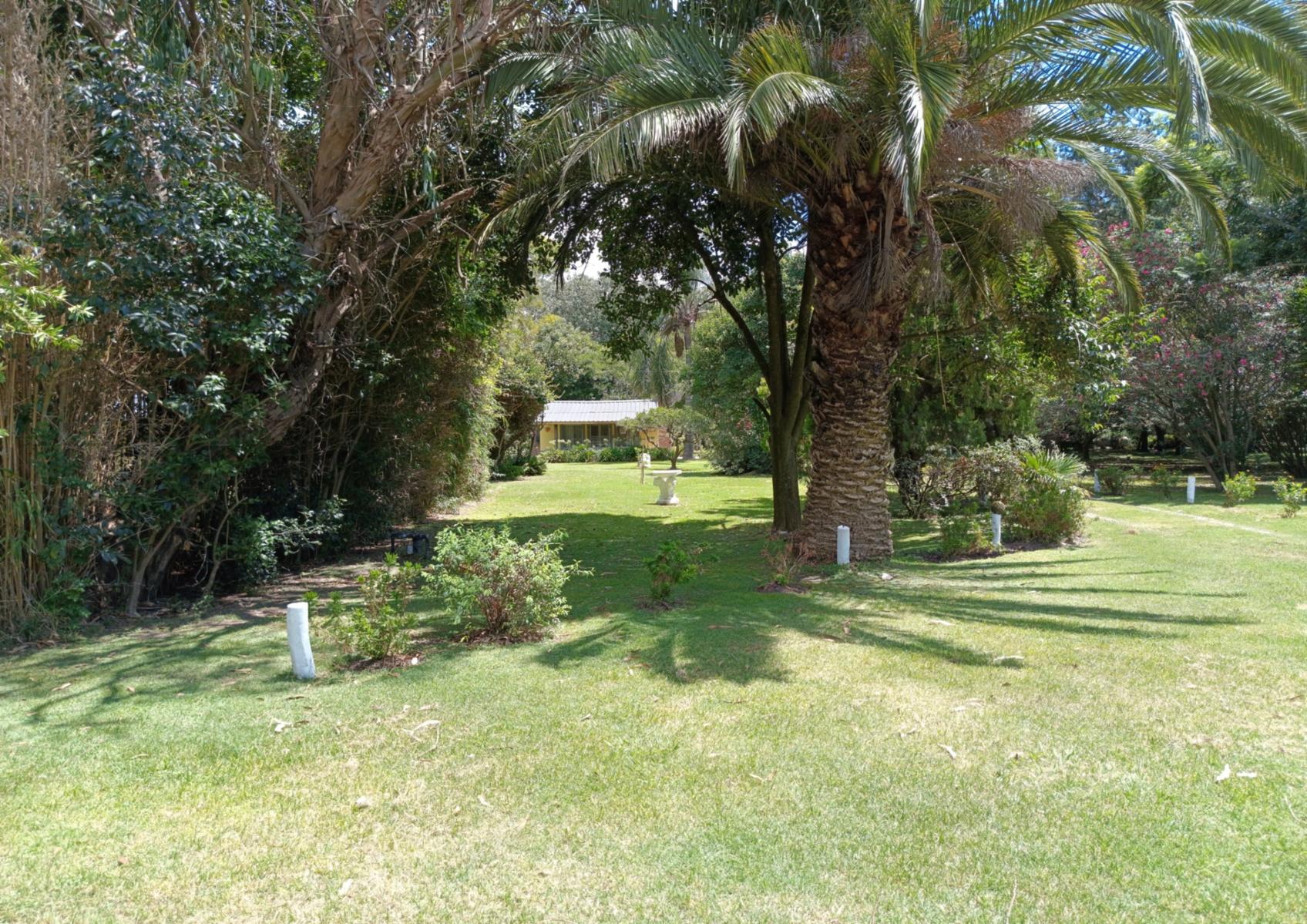 Campo En Venta En Magdalena-Pastoreo Natural Intensivo - 4