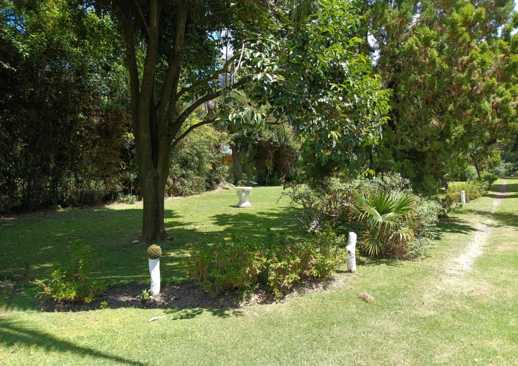 Campo En Venta En Magdalena-Pastoreo Natural Intensivo - 5