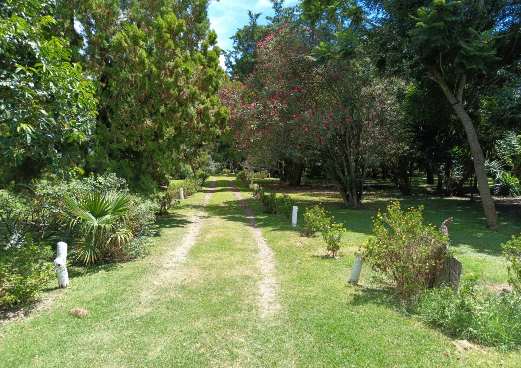 Campo En Venta En Magdalena-Pastoreo Natural Intensivo - 6