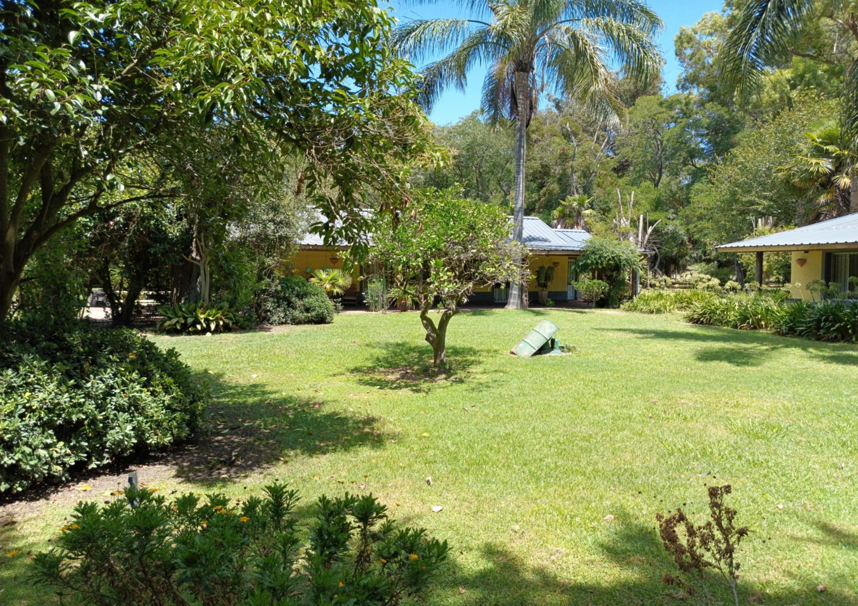 Campo En Venta En Magdalena-Pastoreo Natural Intensivo - 10