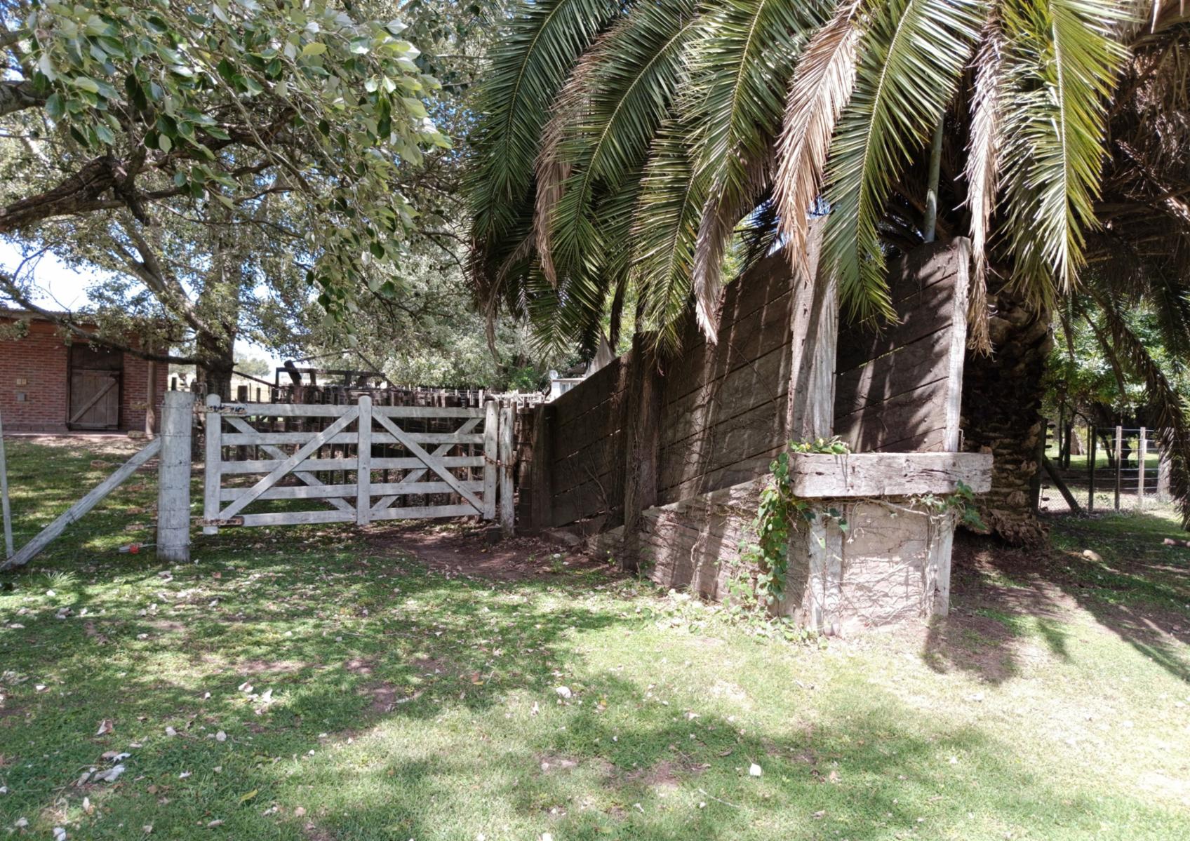 Campo En Venta En Magdalena-Pastoreo Natural Intensivo - 11