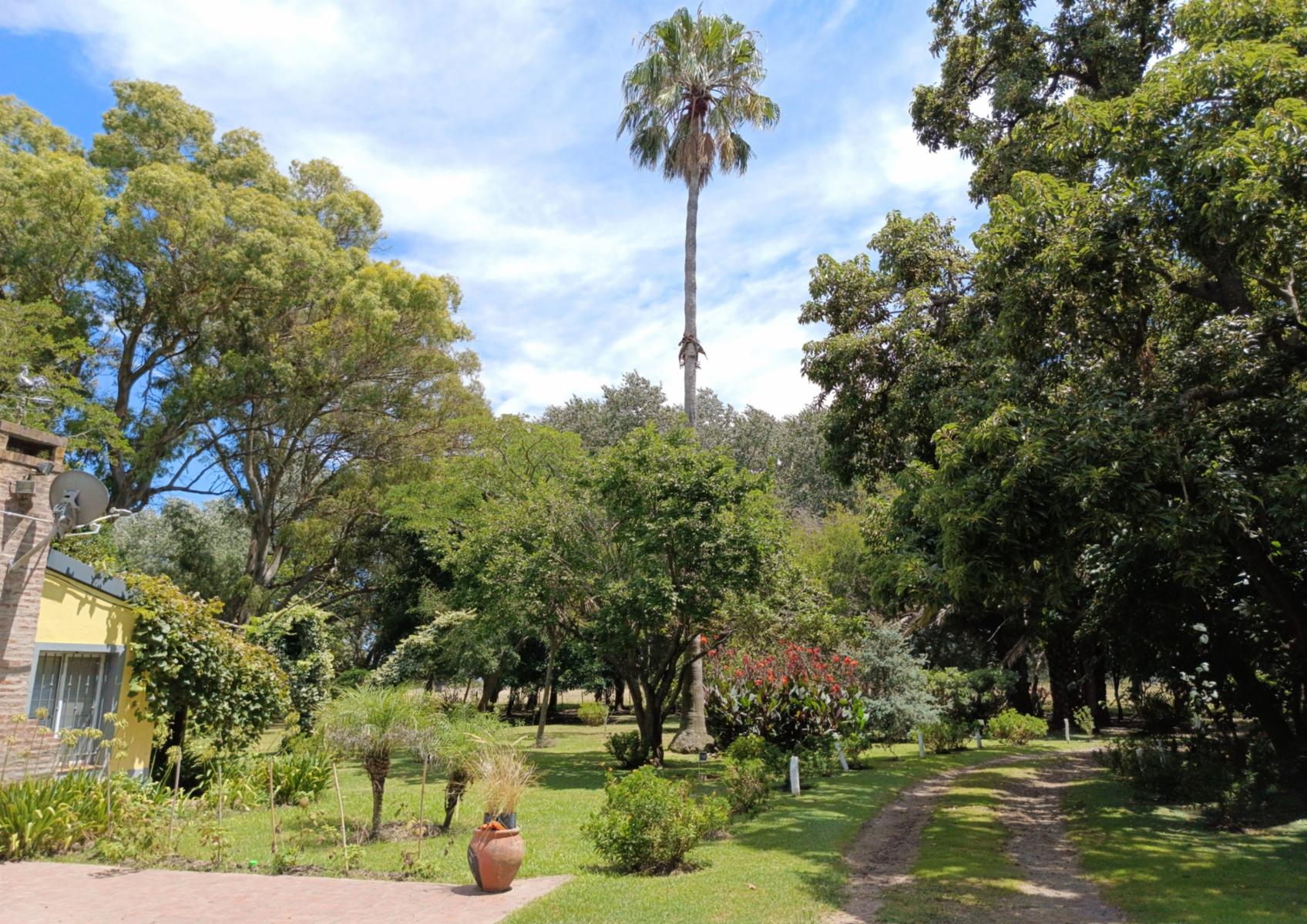Campo En Venta En Magdalena-Pastoreo Natural Intensivo - 12
