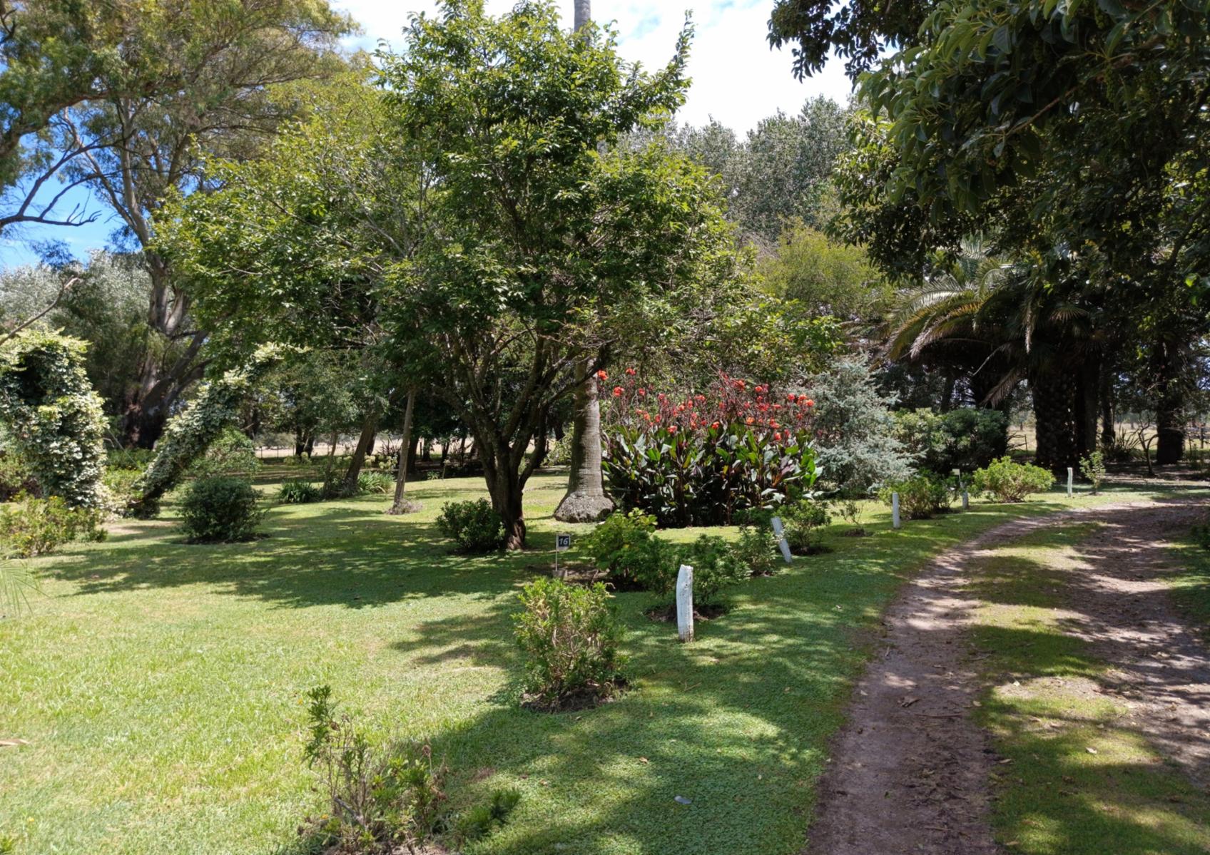 Campo En Venta En Magdalena-Pastoreo Natural Intensivo - 13
