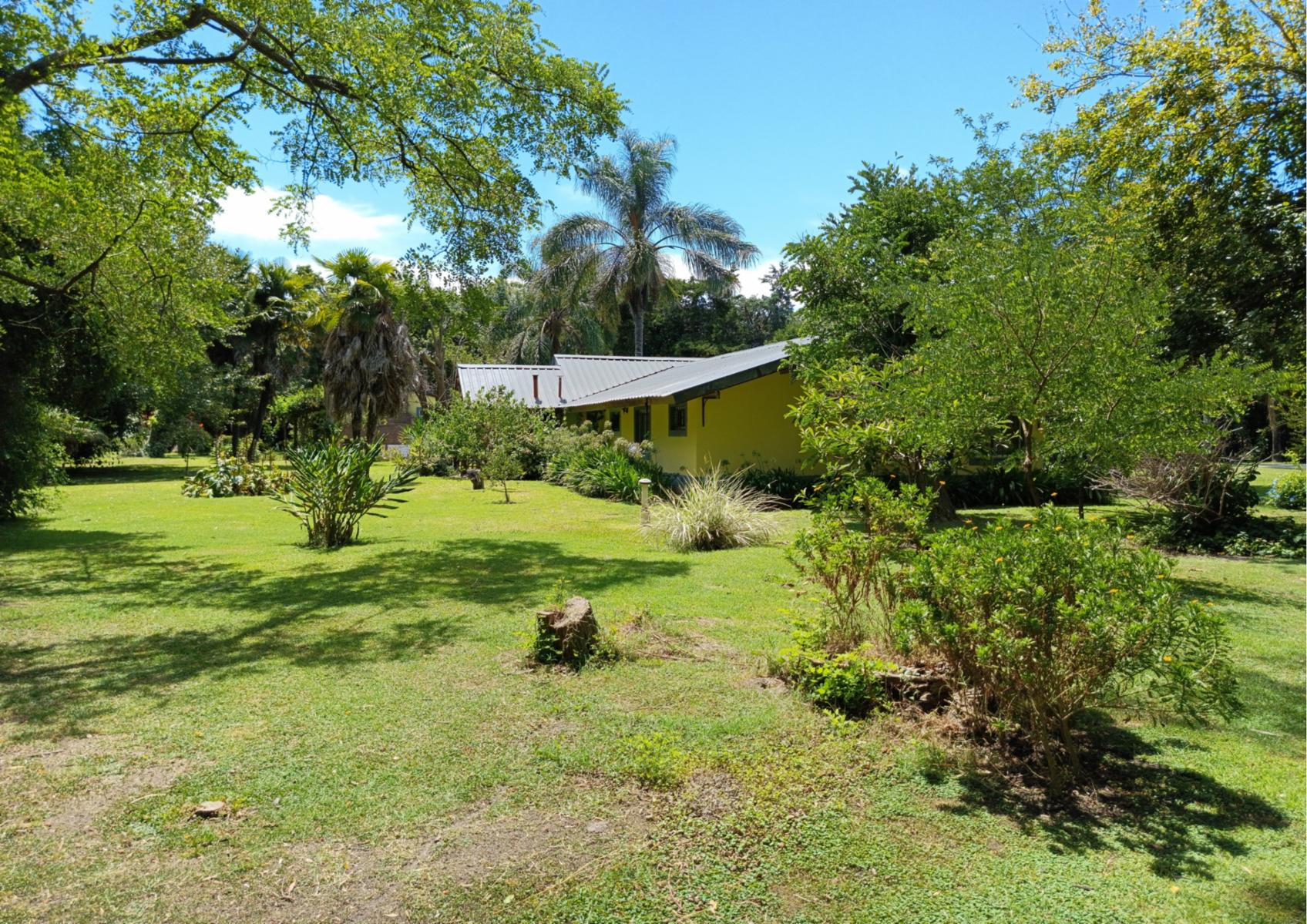 Campo En Venta En Magdalena-Pastoreo Natural Intensivo - 14